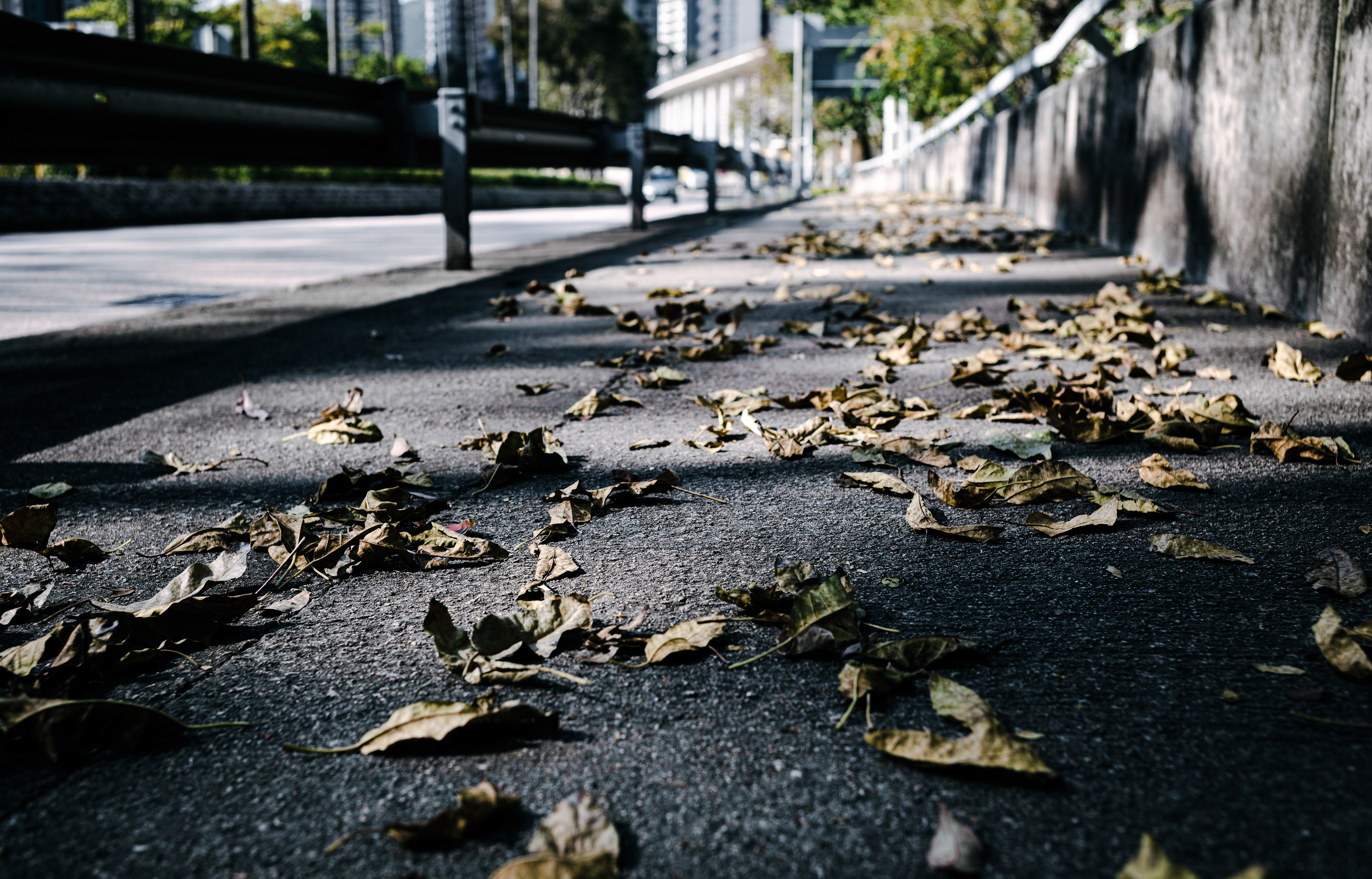 [LEICA M11, LEICA Summicron-M 35mm f/2 ASPH]