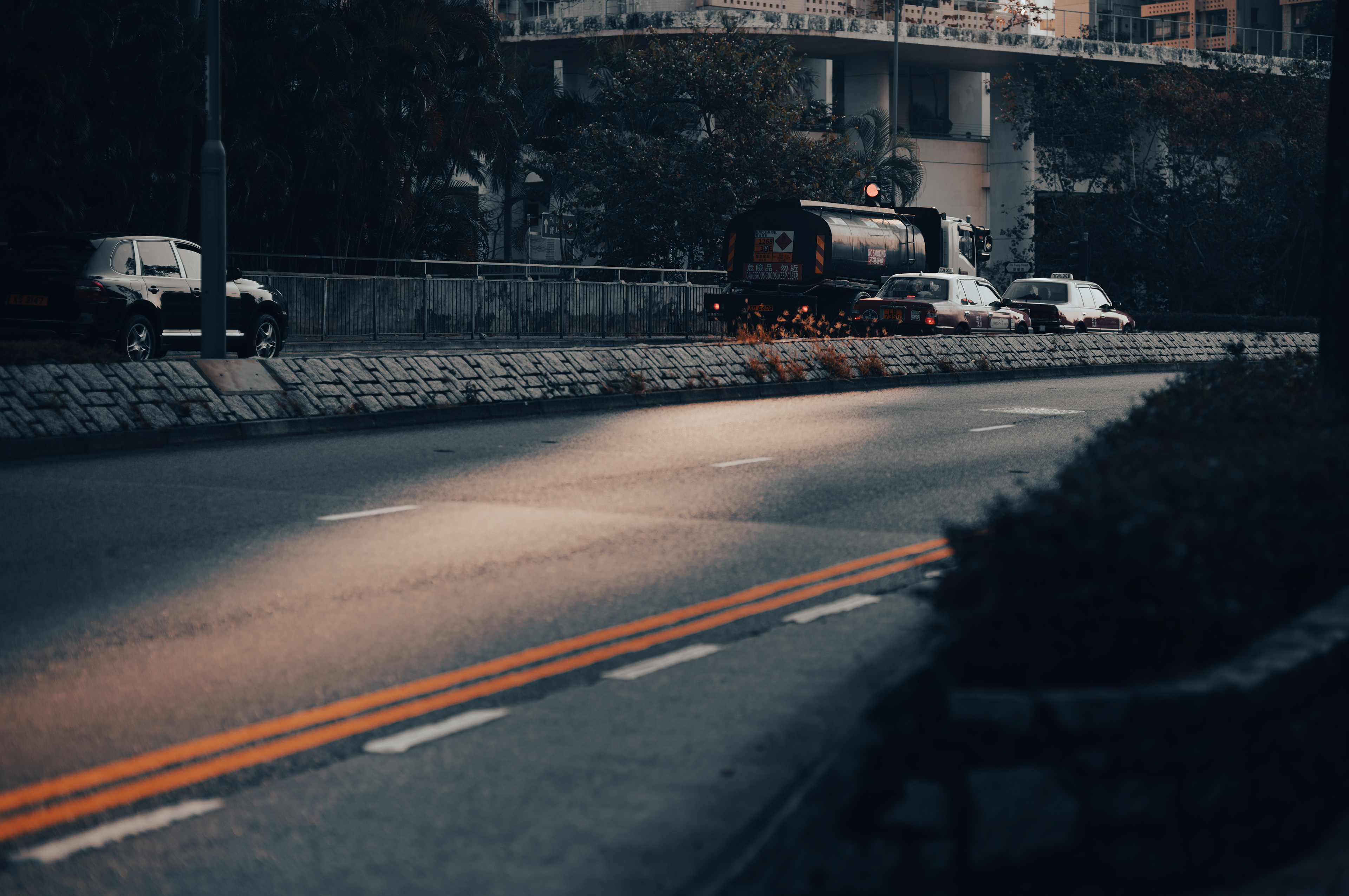 The morning light [LEICA M11, Voigtlander Nokton 75mm f/1.5 Aspherical]