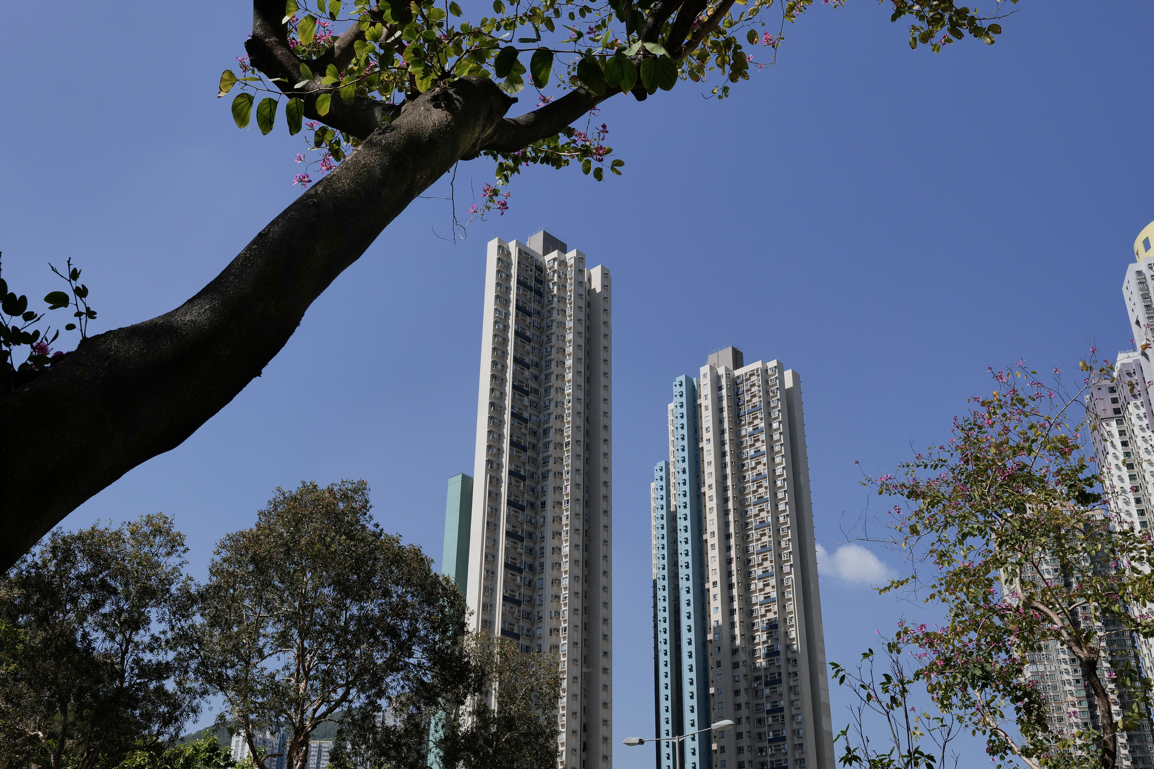 Good weather, good mood [Panasonic LUMIX DC-S5, Sigma 24-70mm F2.8 DG DN | Art 019] 