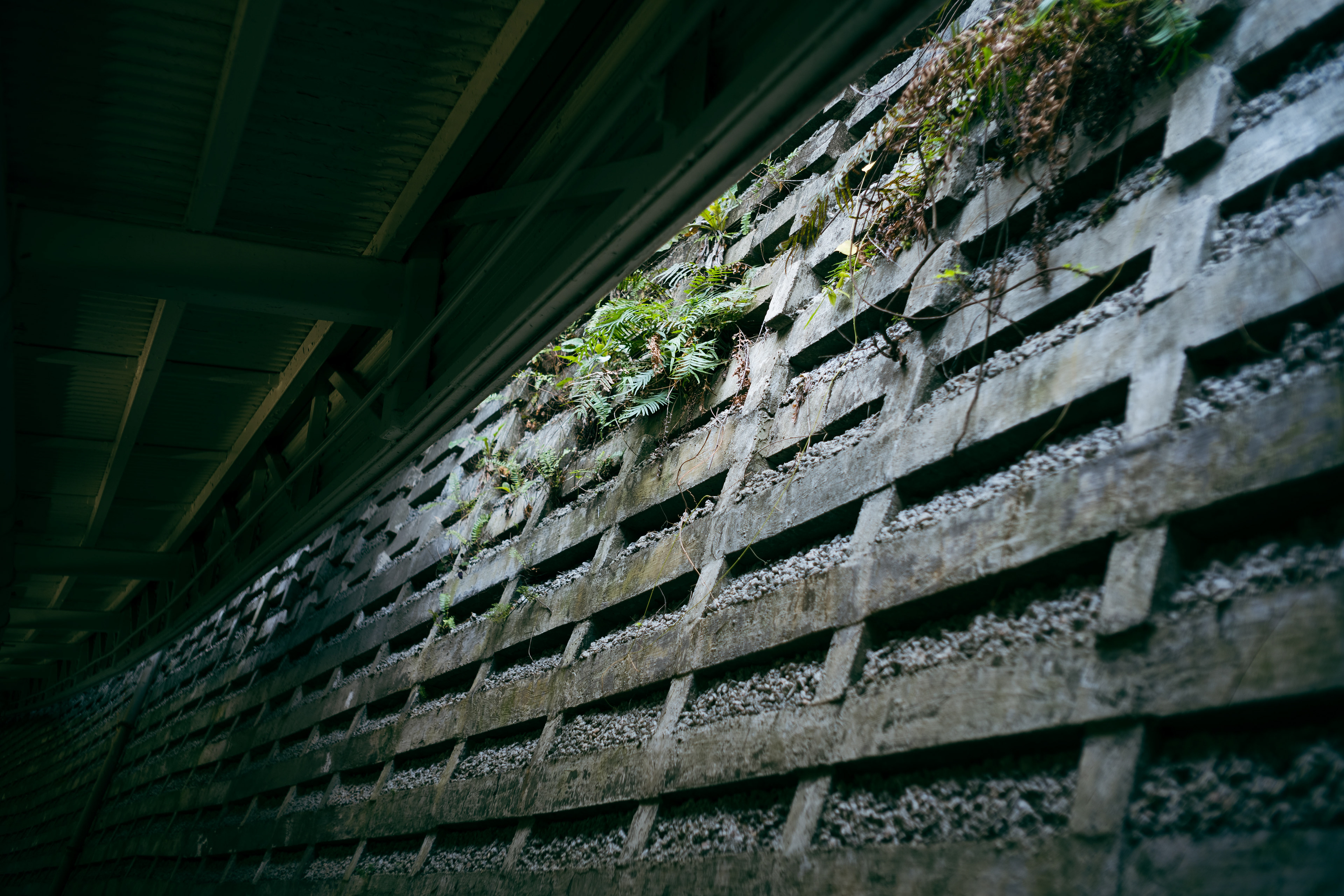 In Japan or Taiwan? [Panasonic LUMIX DC-S5, LEICA Summicron-M 35mm f/2 ASPH]