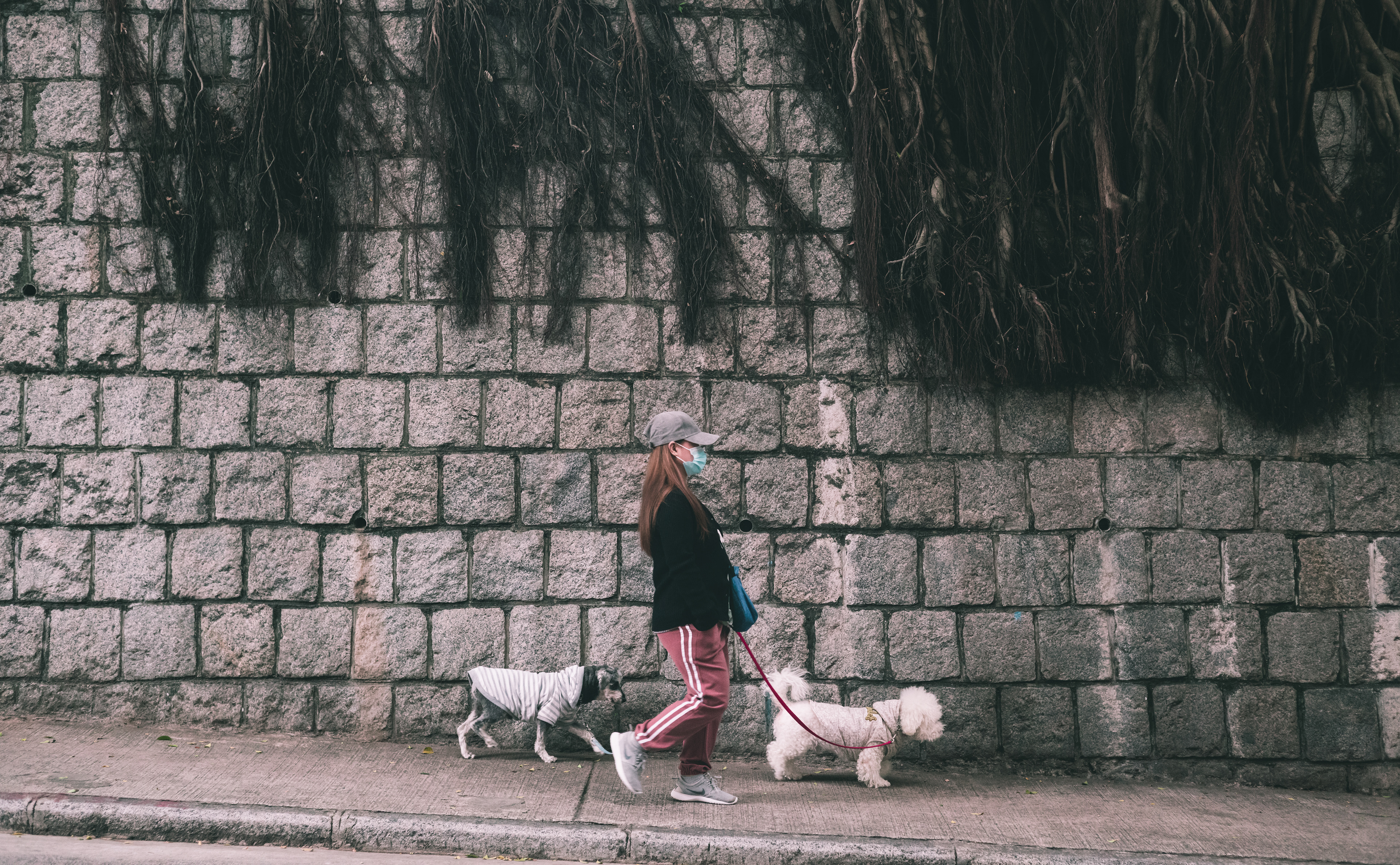 [LEICA M11, LEICA SUMMICRON 50mm f/2 Rigid]