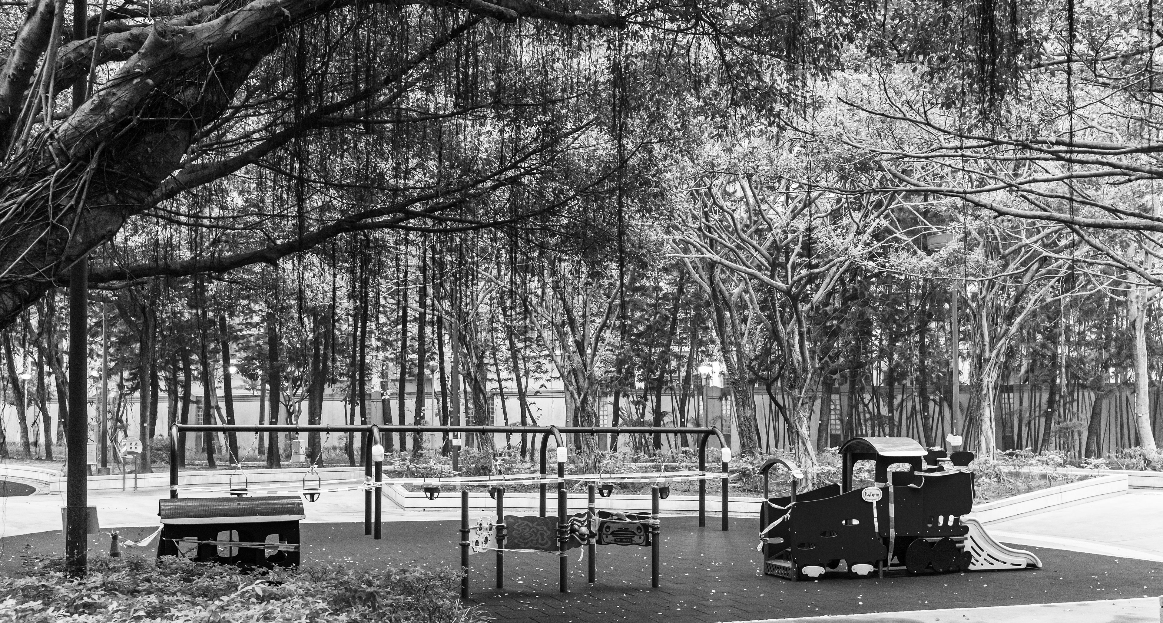 Empty playground and crowded trees under COVID-19 [Leica M10, Zeiss Biogon T* 2/35 ZM]