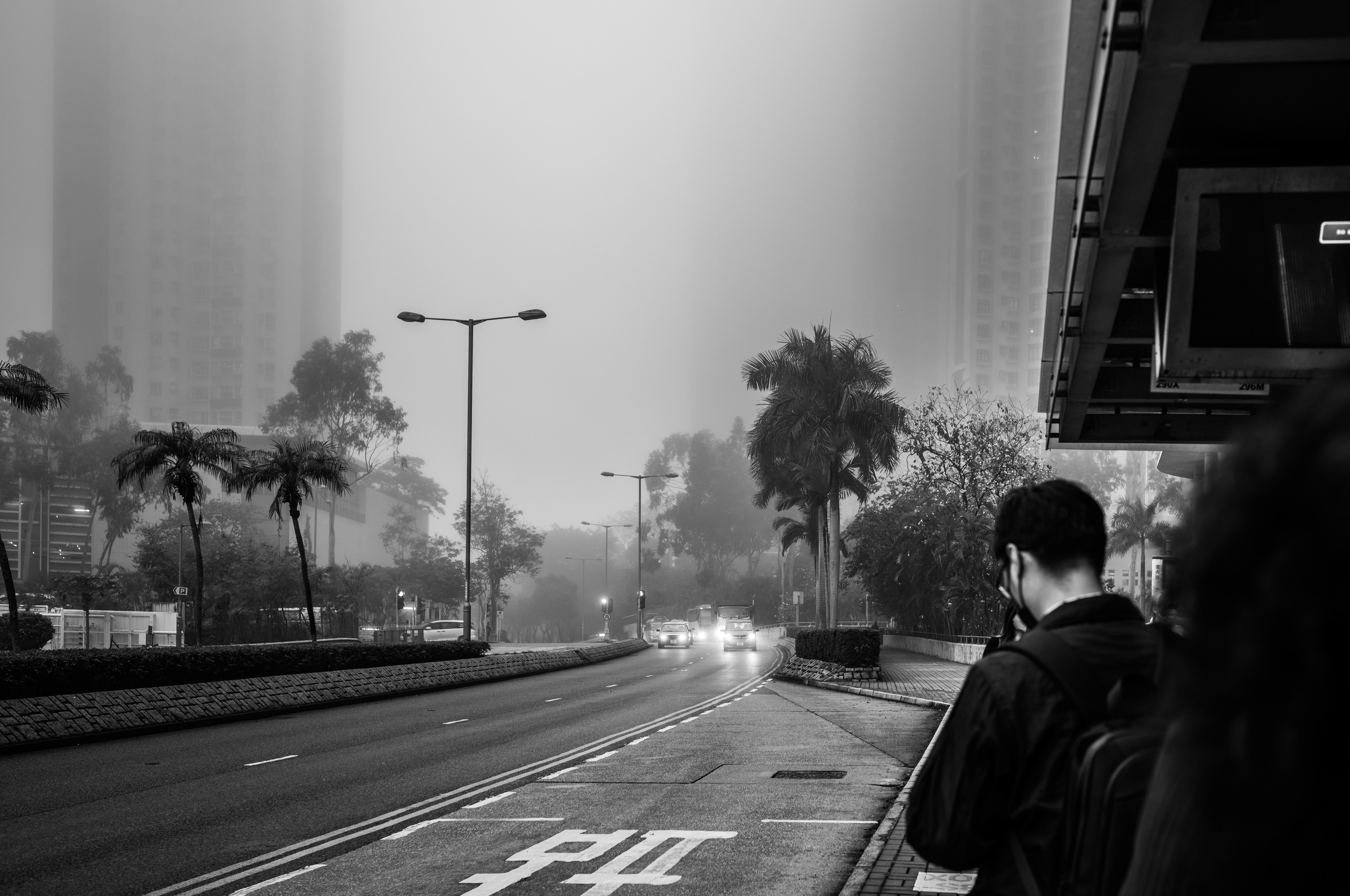 Foggy day [LEICA M11, Voigtlander NOKTON Vintage Line 35mm f/1.5 Aspherical]