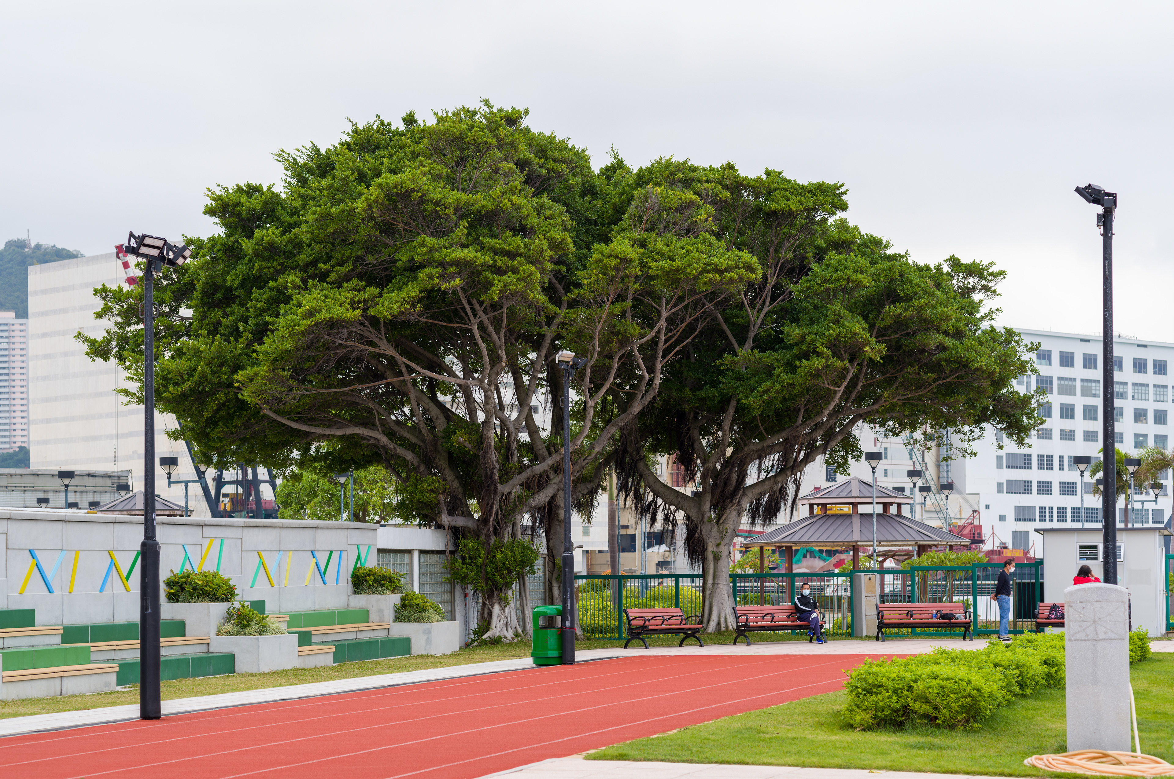 [LEICA M11, Voigtlander Nokton 75mm f/1.5 Aspherical]
