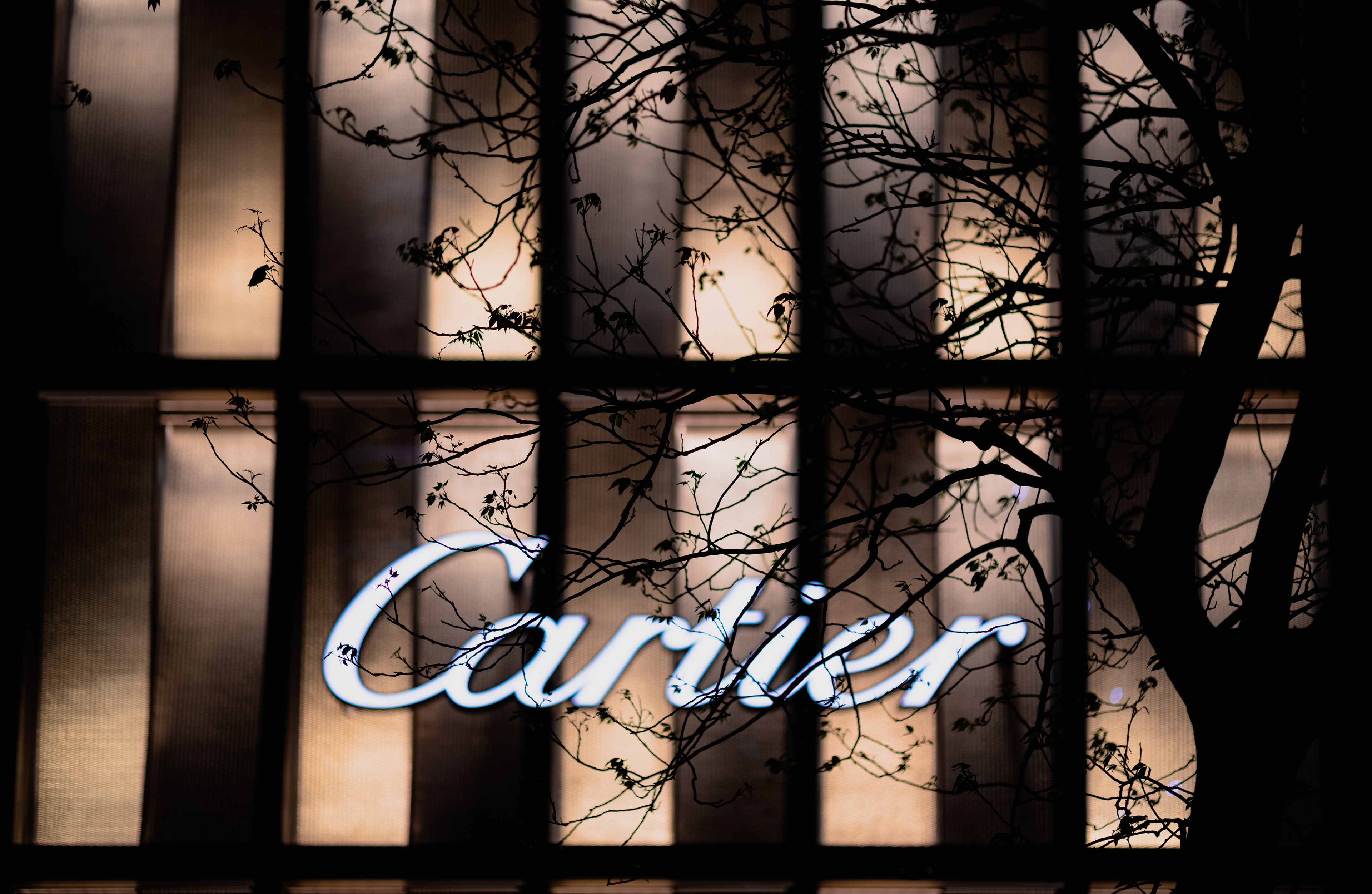 [LEICA M11, Voigtlander Nokton 75mm f/1.5 Aspherical]