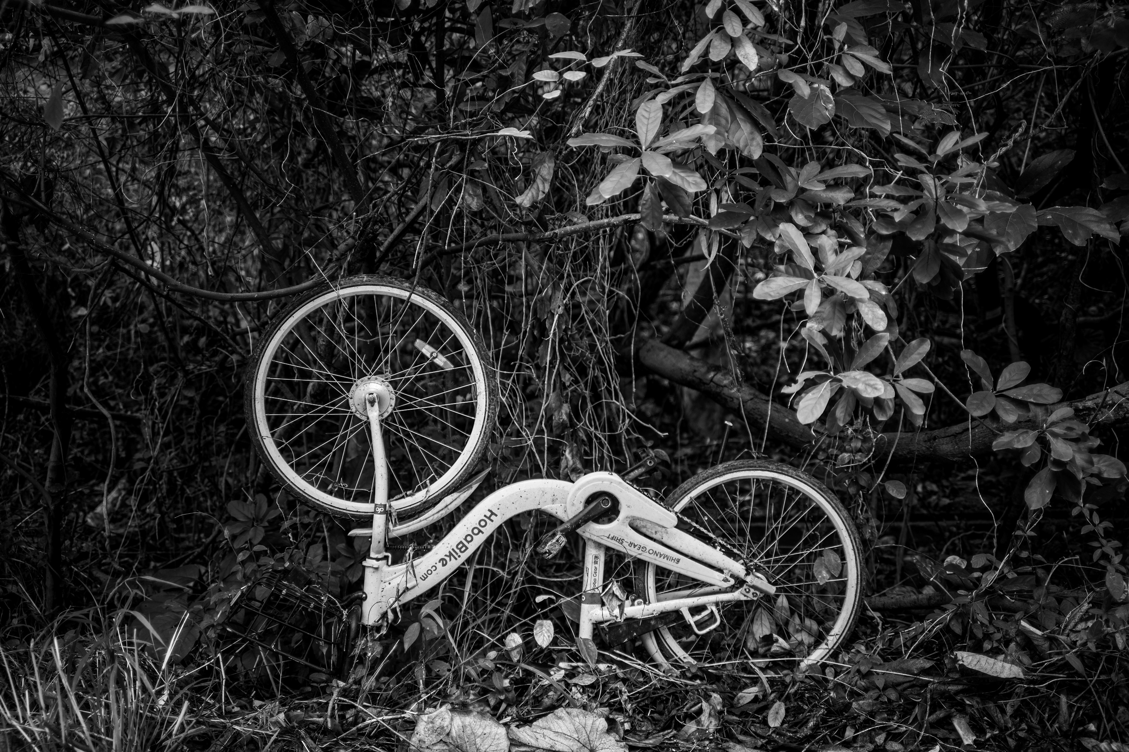 Bike sharing is a good idea, but may be not in Hong Kong. [Leica M10, Zeiss Biogon T* 2/35 ZM]