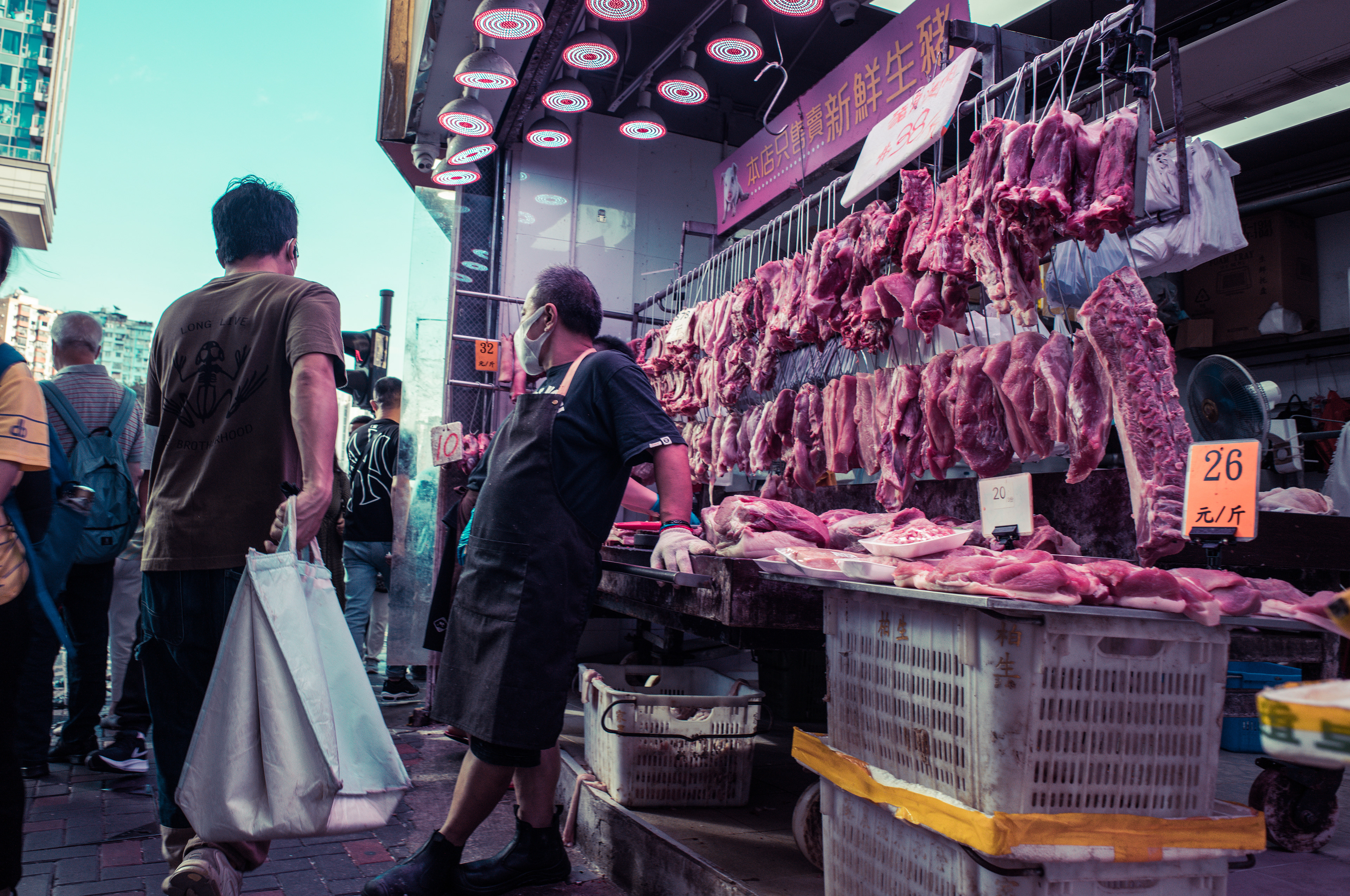 [LEICA M11, LEICA Elmarit-M 24mm f/2.8 ASPH]