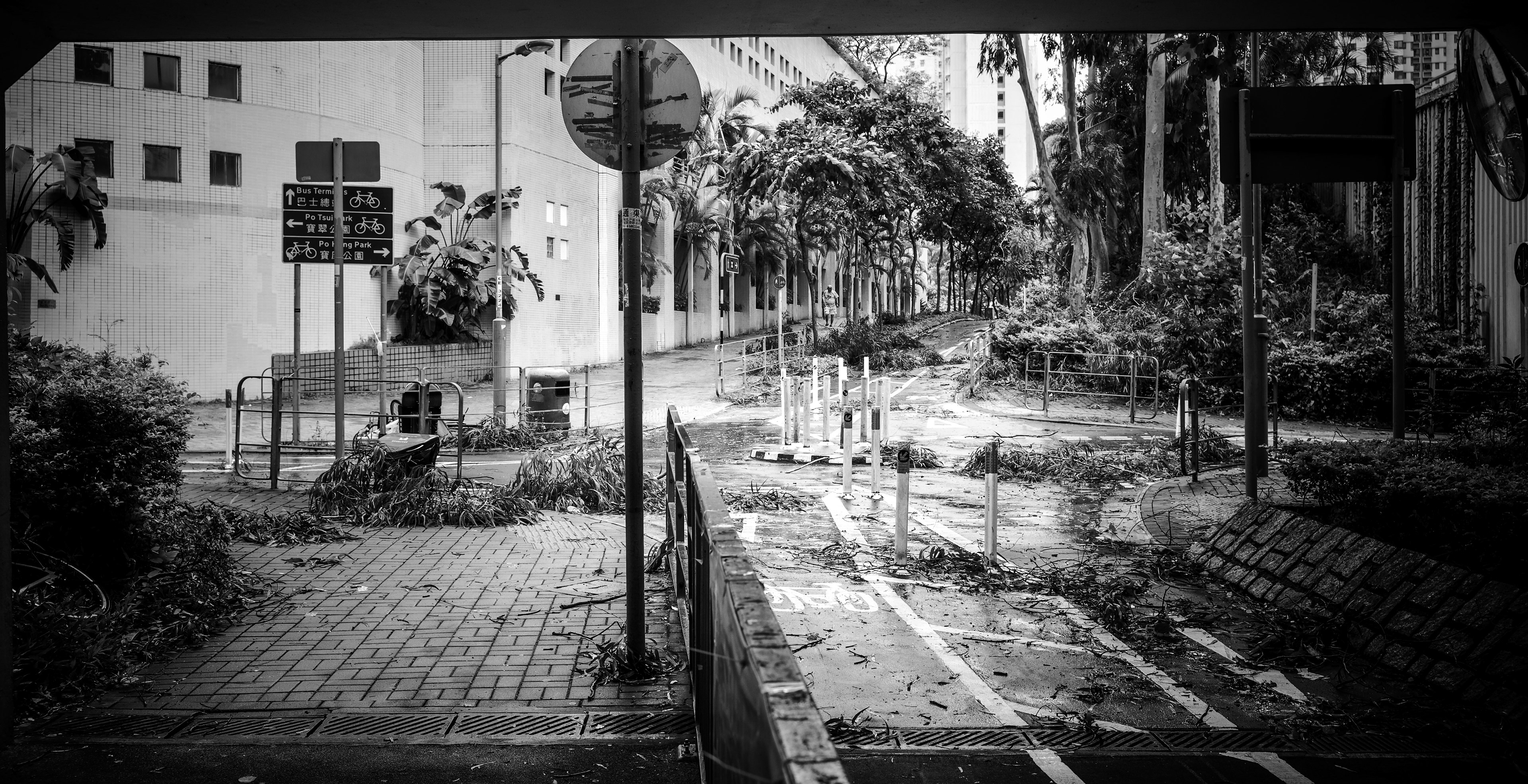 Opened an old lightroom album and looked at some unprocessed old photos... Taken in March 2000, the day after the typhoon [LEICA M10]