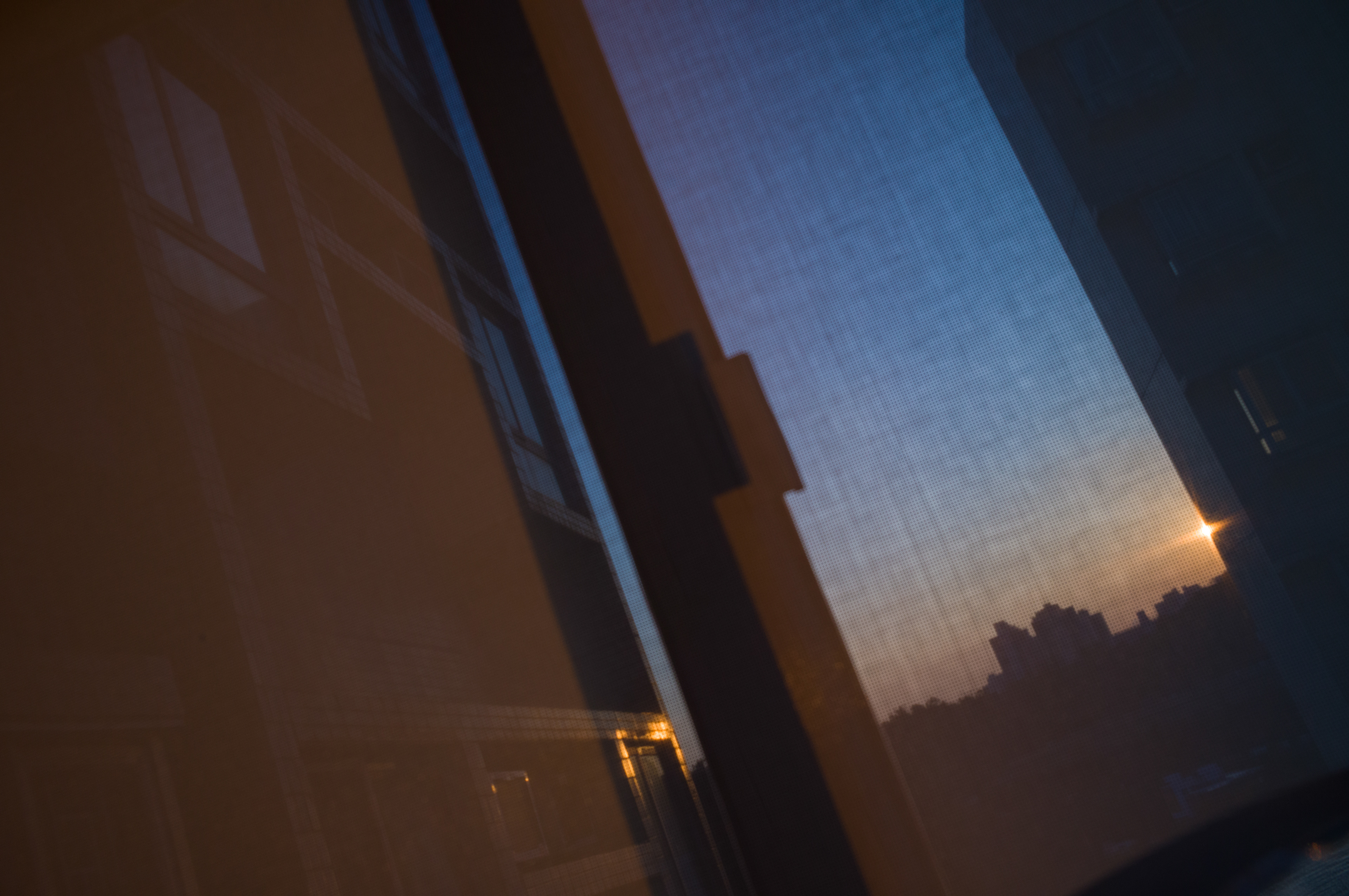 Have been working from home for months, need something to cheer my life [LEICA M11, LEICA Summicron-M 35mm f/2 ASPH]