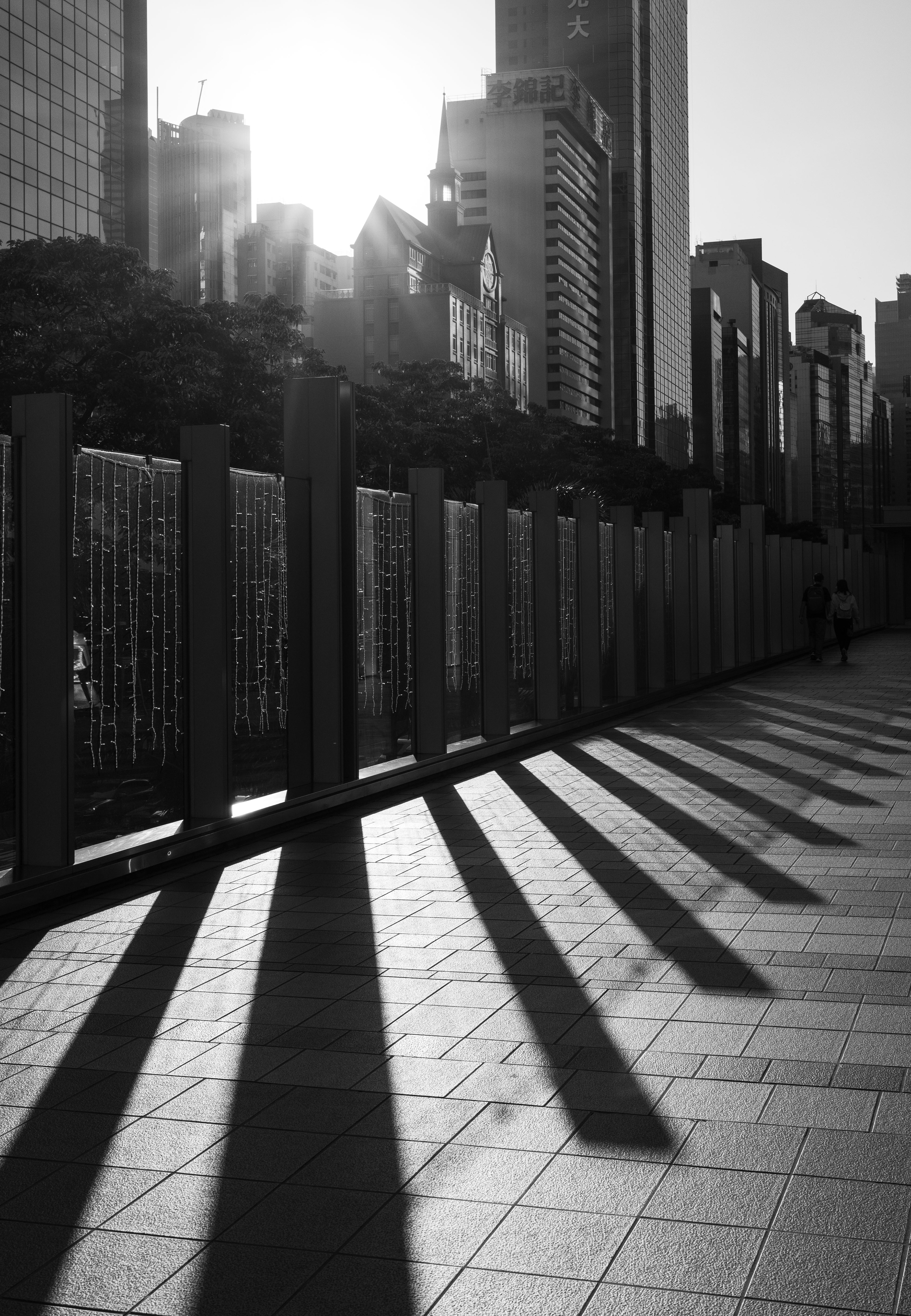 [Panasonic LUMIX DC-S5, Sigma 35mm F/2 DG DN | Contemporary 020]