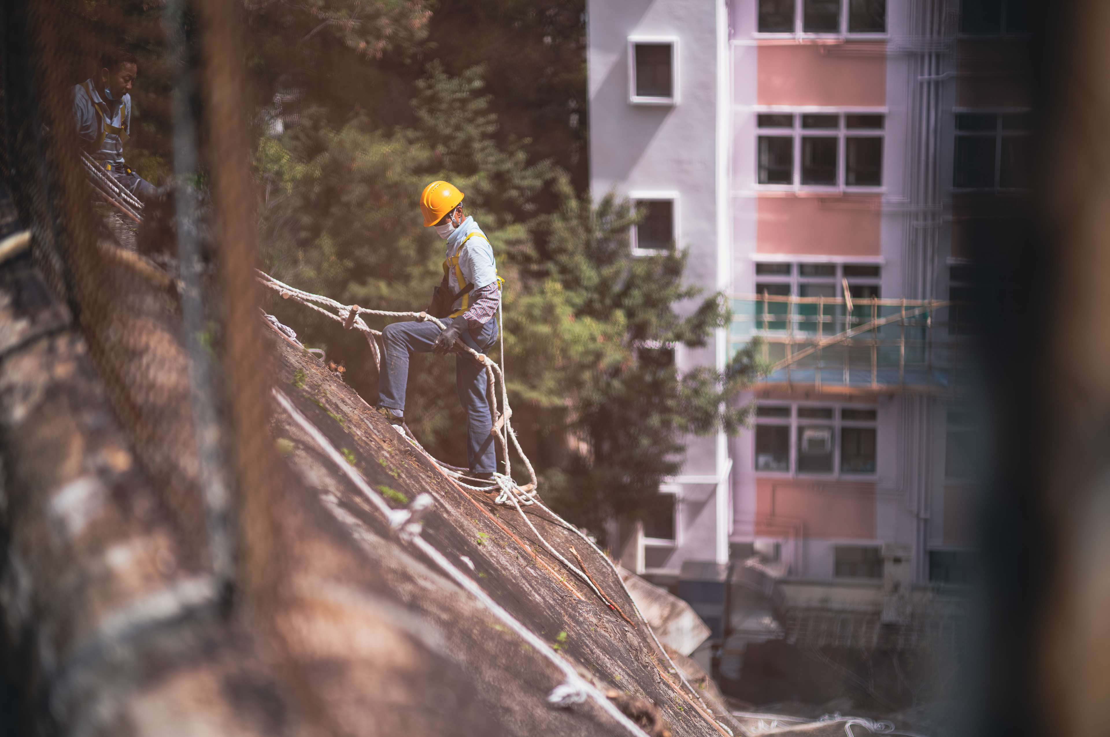 Can't remember where I took this photo on Sunday, it was somewhere near Hospital Road. Professionals are working on the slopes. [LEICA M11, Voigtlander Nokton 75mm f/1.5 Aspherical]