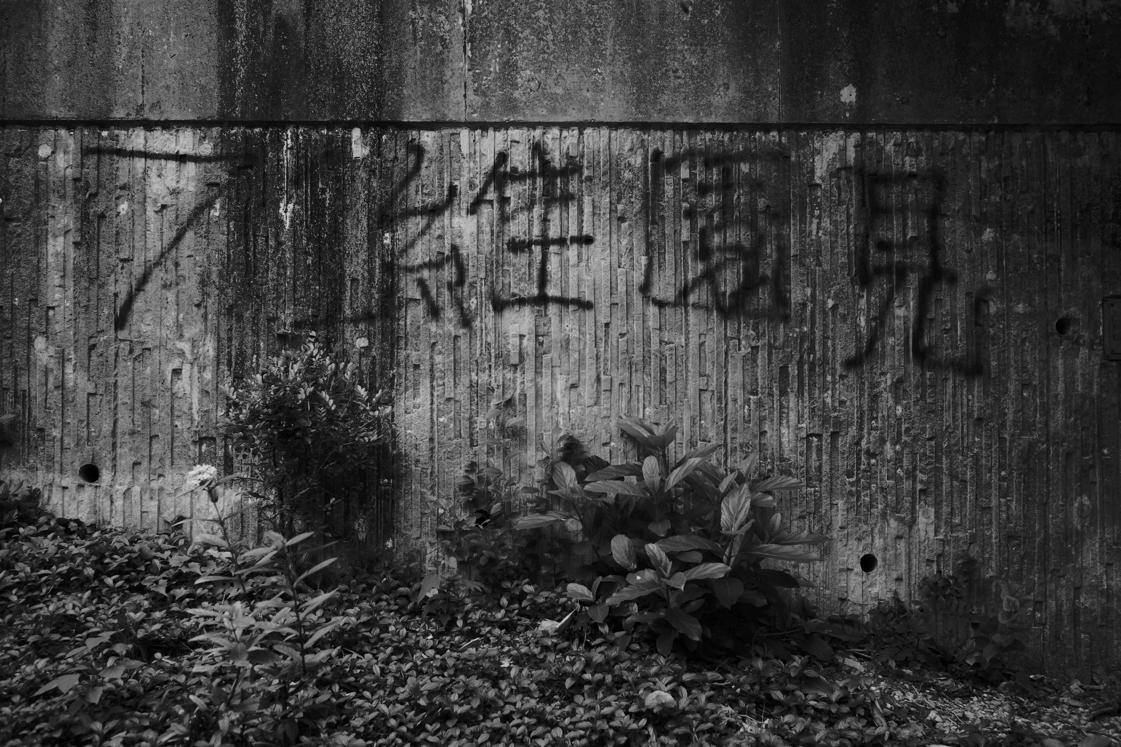 "See you in Victoria Park on July 1" - The day that Hong Kong police lost all their reputation. [LEICA M10, LEICA Summicron-M 35mm f/2 ASPH]