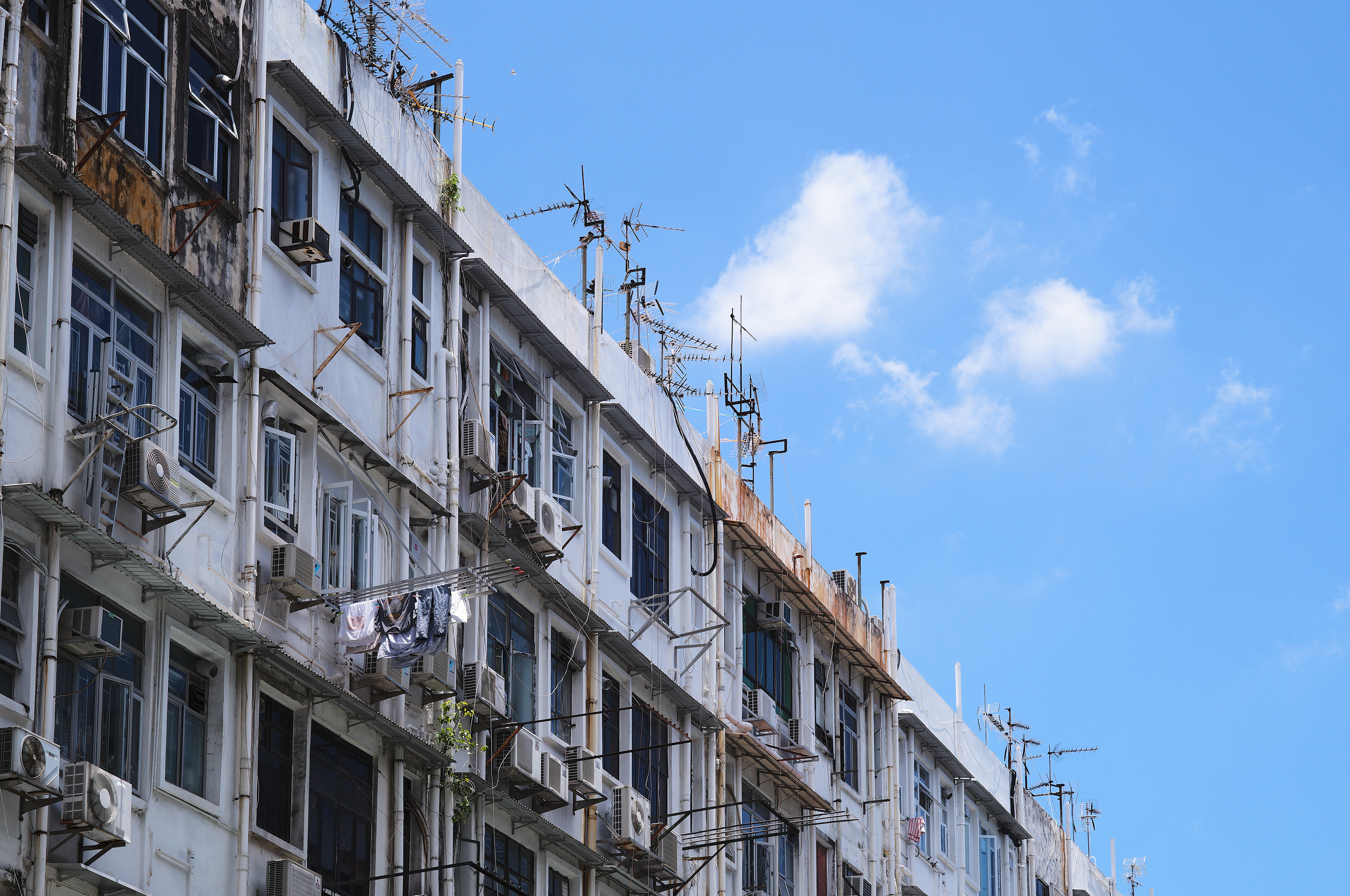 [LEICA M11, Voigtlander Nokton 75mm f/1.5 Aspherical]