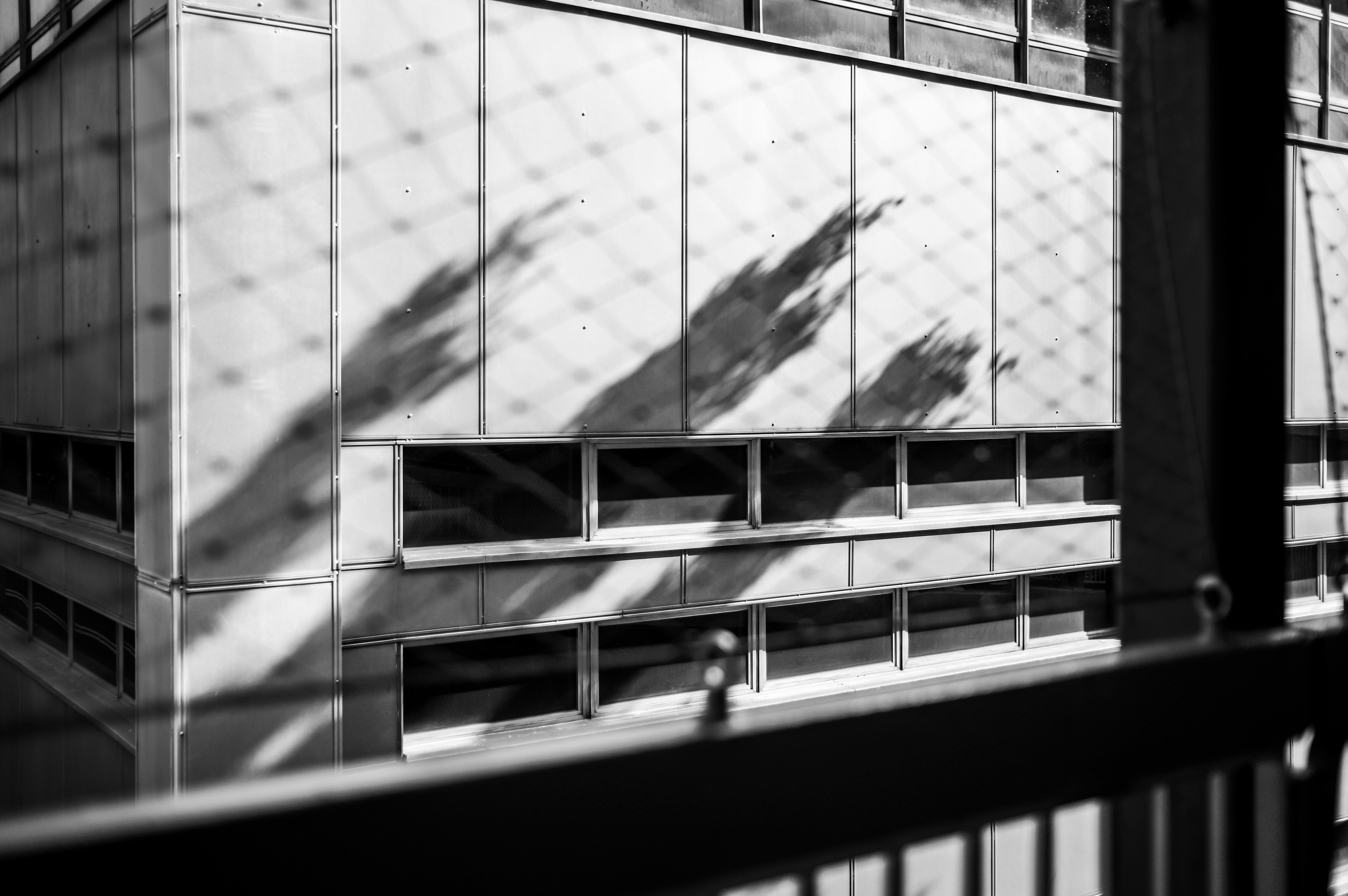 [LEICA M11, LEICA Summicron-M 35mm f/2 ASPH]