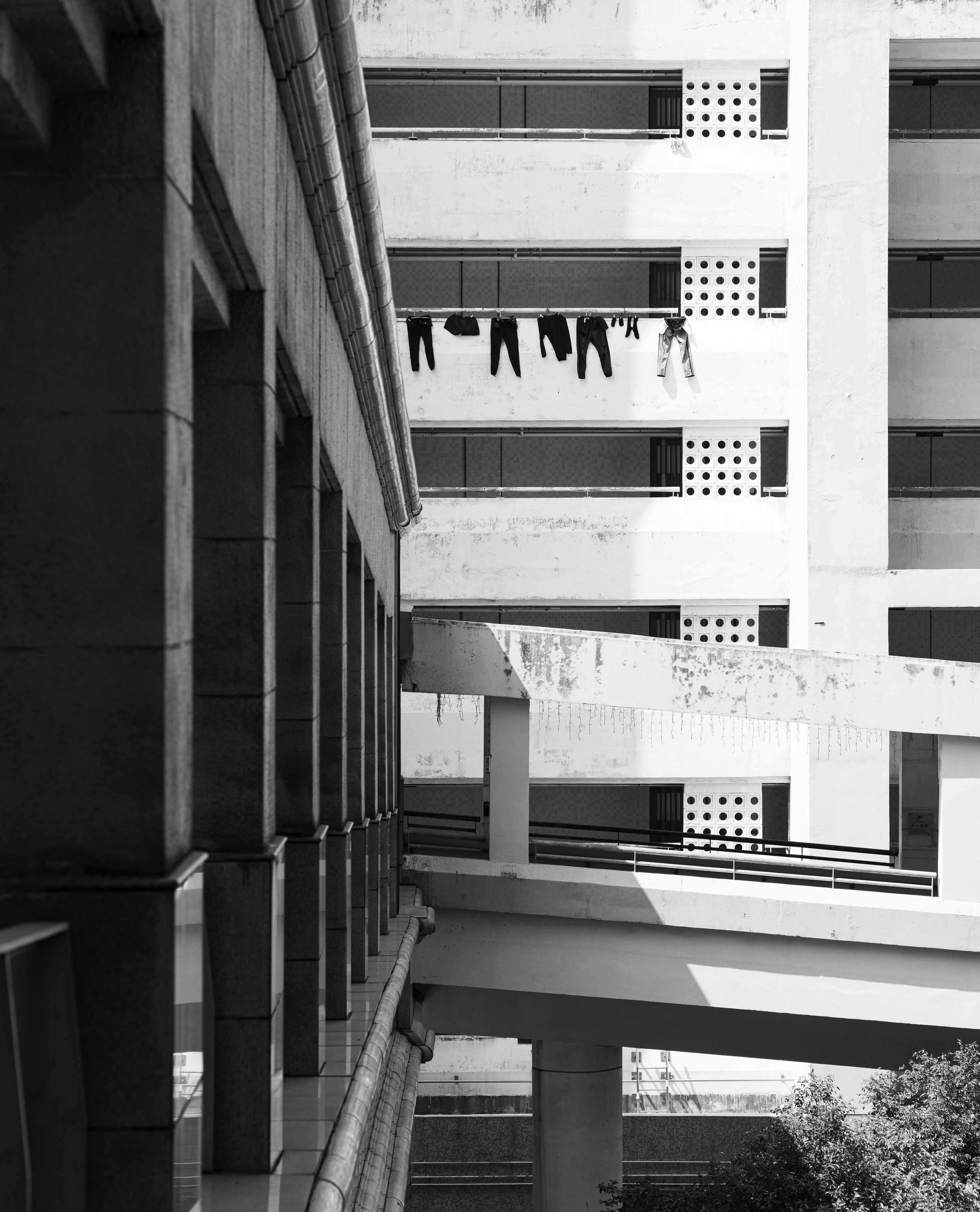 [LEICA M11, Voigtlander Nokton 75mm f/1.5 Aspherical]