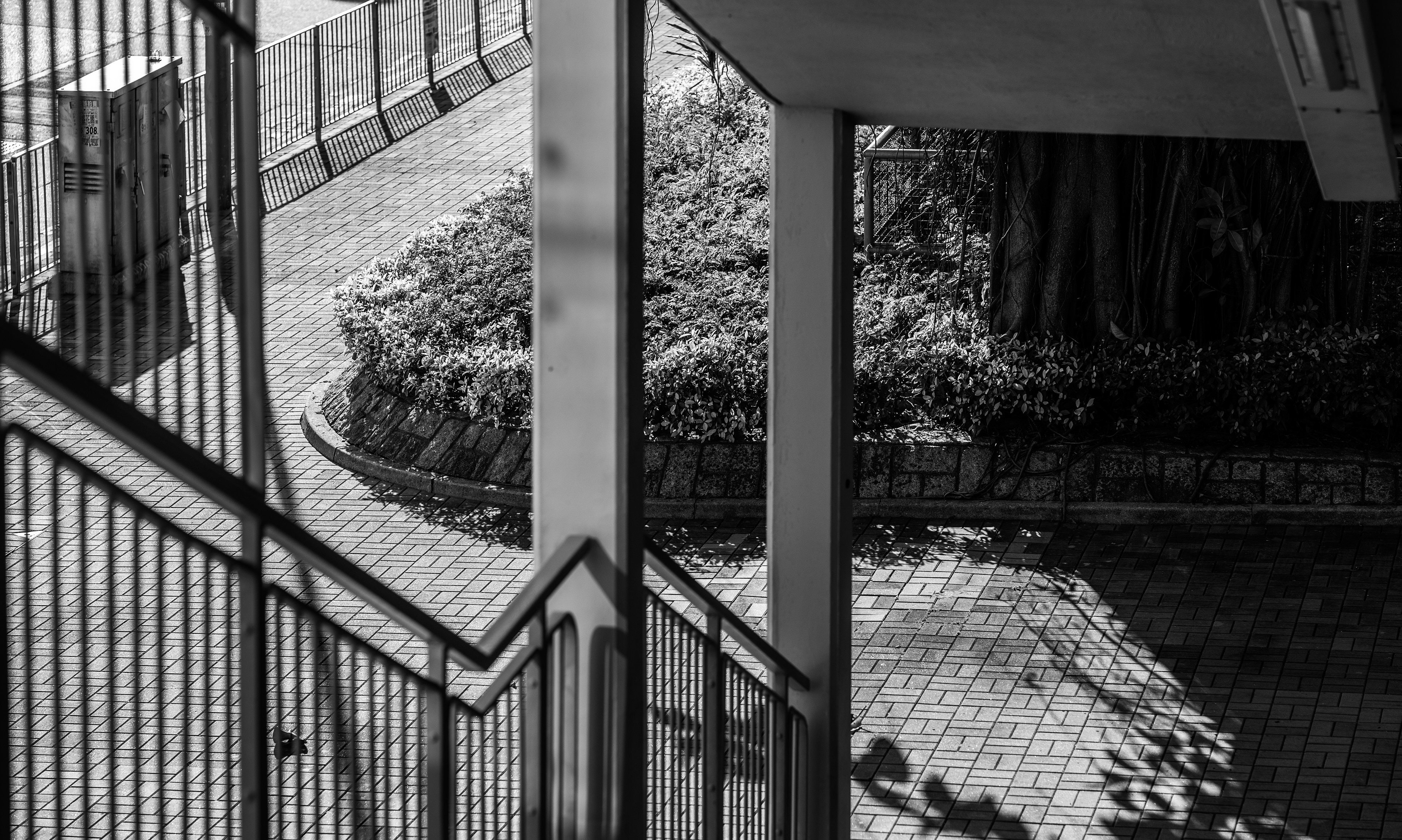 It’s more pleasant to take pictures with a prime lens. [Panasonic LUMIX DC-S5, Sigma 85mm F1.4 DG DN | Art 020]