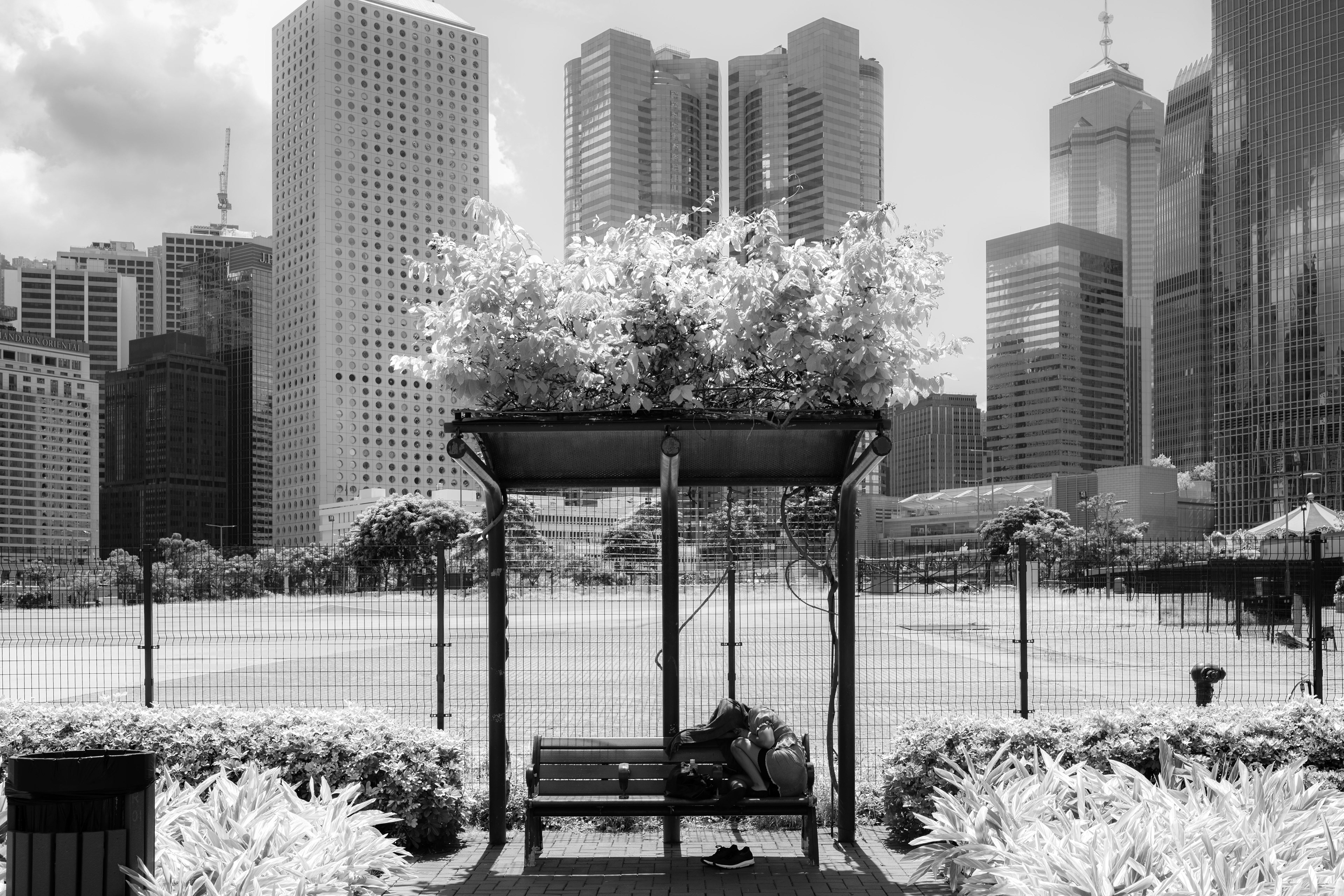 Central and Western District Promenade – Central Section [LEICA M10, LEICA Summicron-M 35mm f/2 ASPH, Software B/W Infrared Filter]