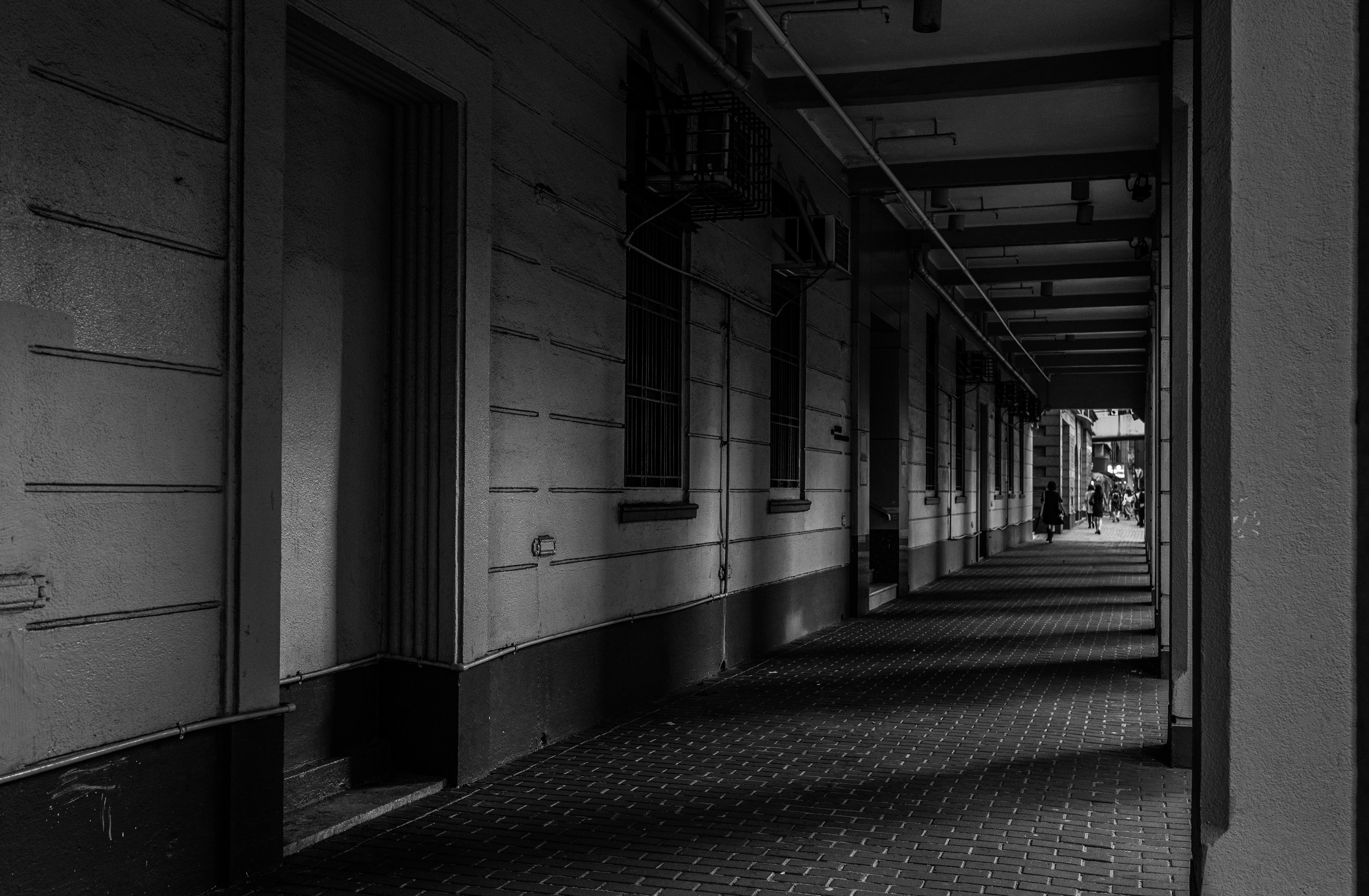 [Panasonic LUMIX DC-S5, Sigma 35mm F/2 DG DN | Contemporary 020]