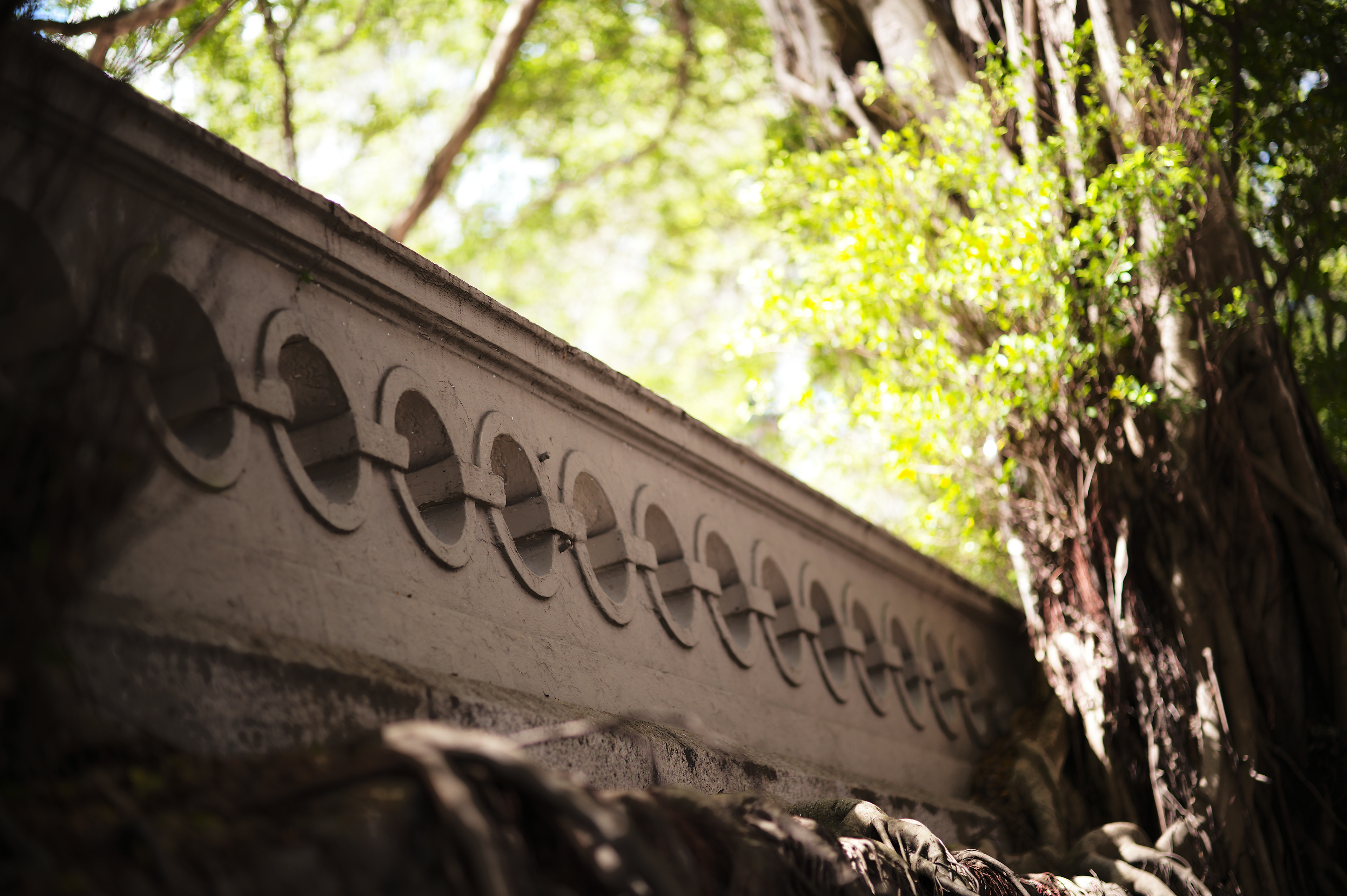 King George V Memorial Park [LEICA M11, Voigtlander Nokton 75mm f/1.5 Aspherical]