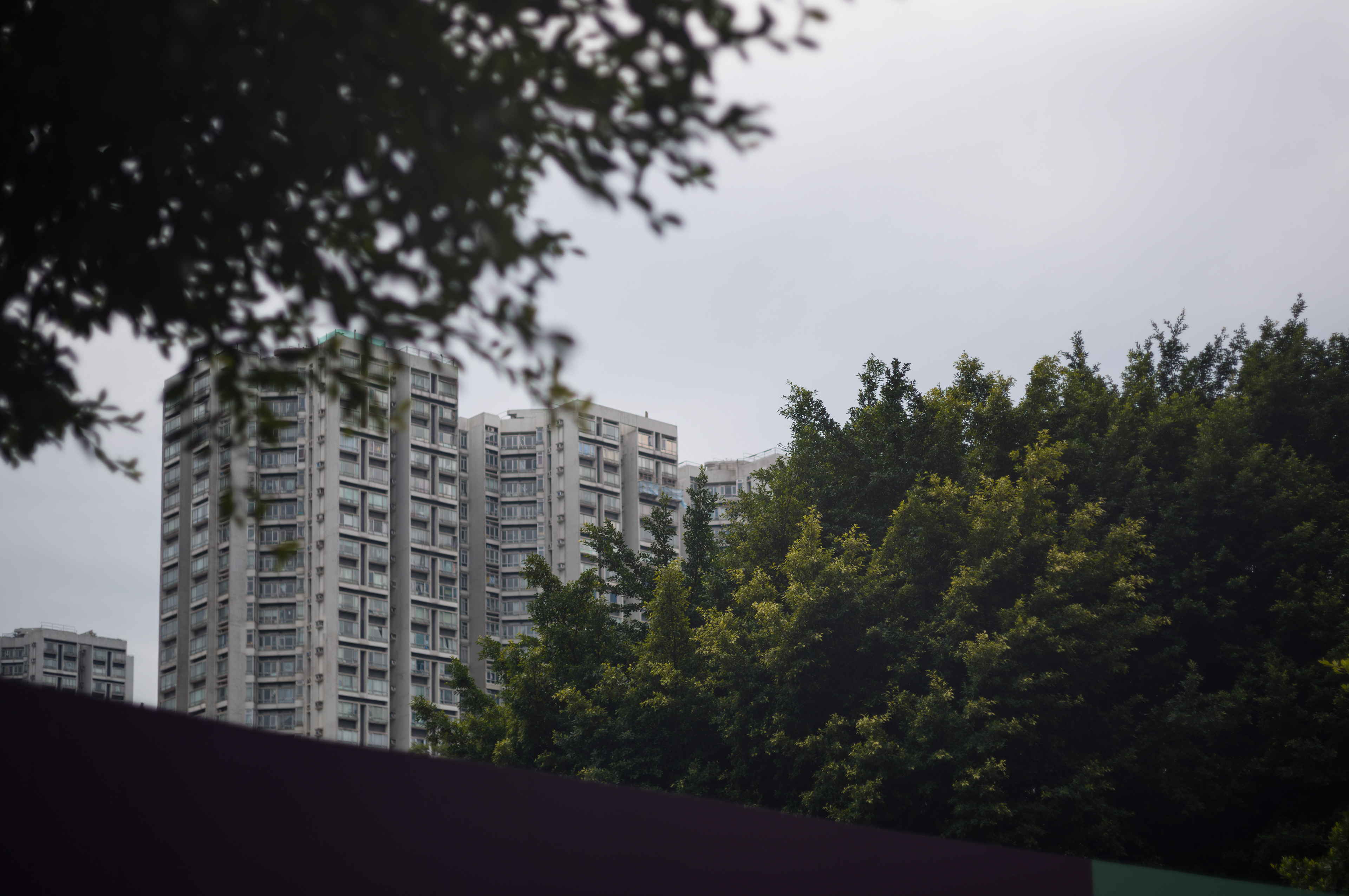 [LEICA M11, LEICA SUMMICRON 50mm f/2 Rigid]