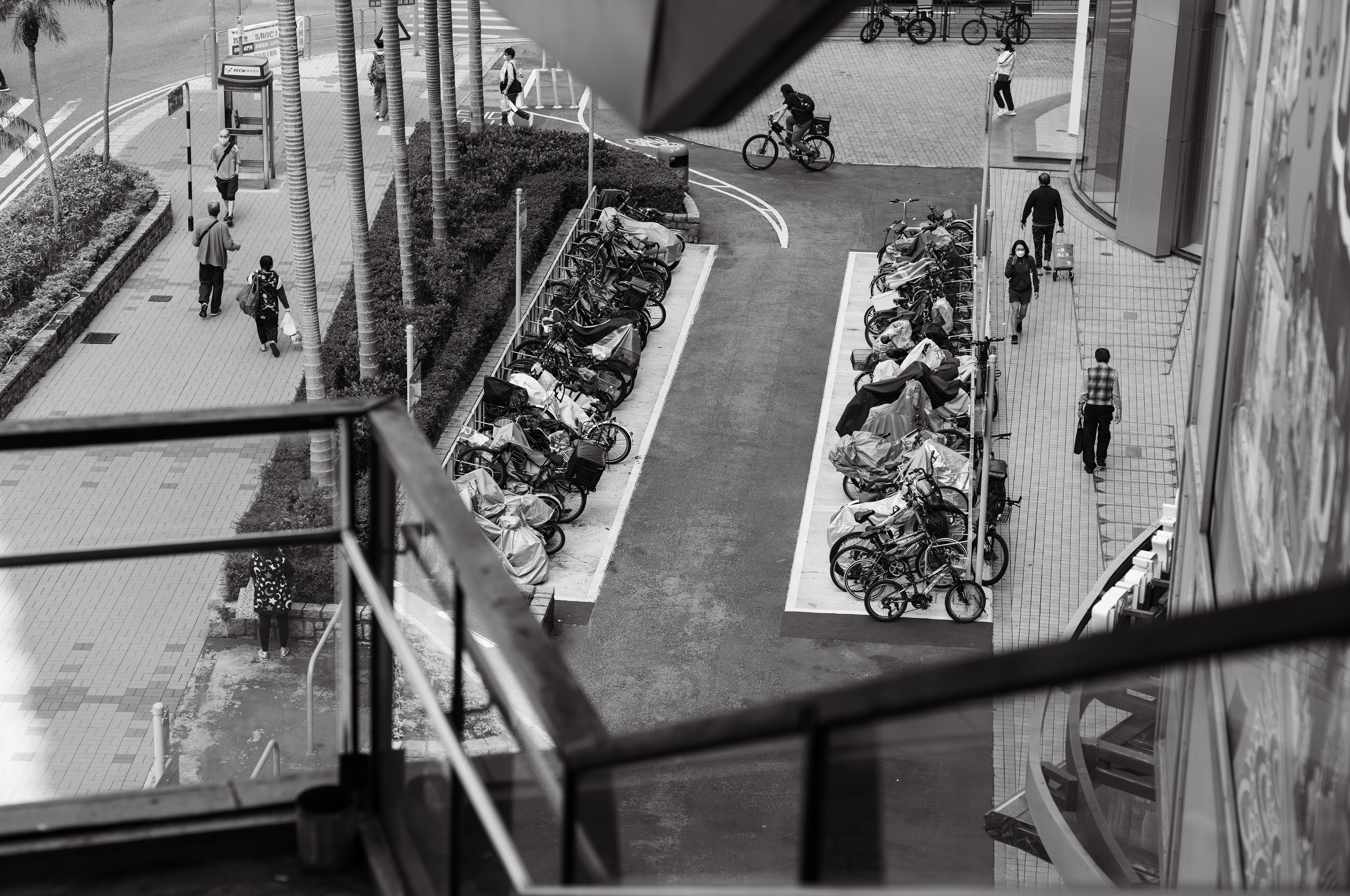 [LEICA M11, Voigtlander Nokton 75mm f/1.5 Aspherical]