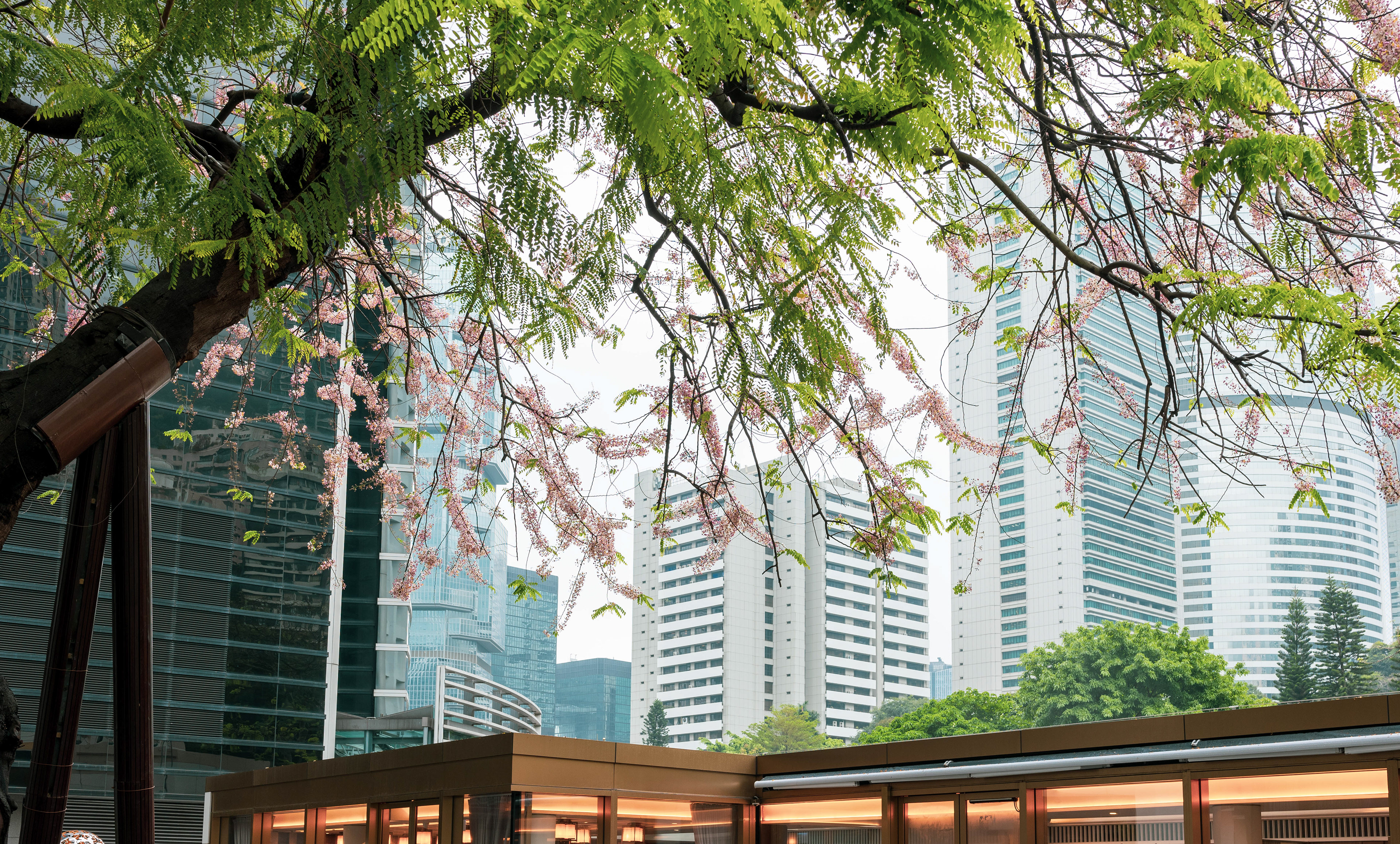 [Panasonic LUMIX DC-S5, Sigma 35mm F/2 DG DN | Contemporary 020]