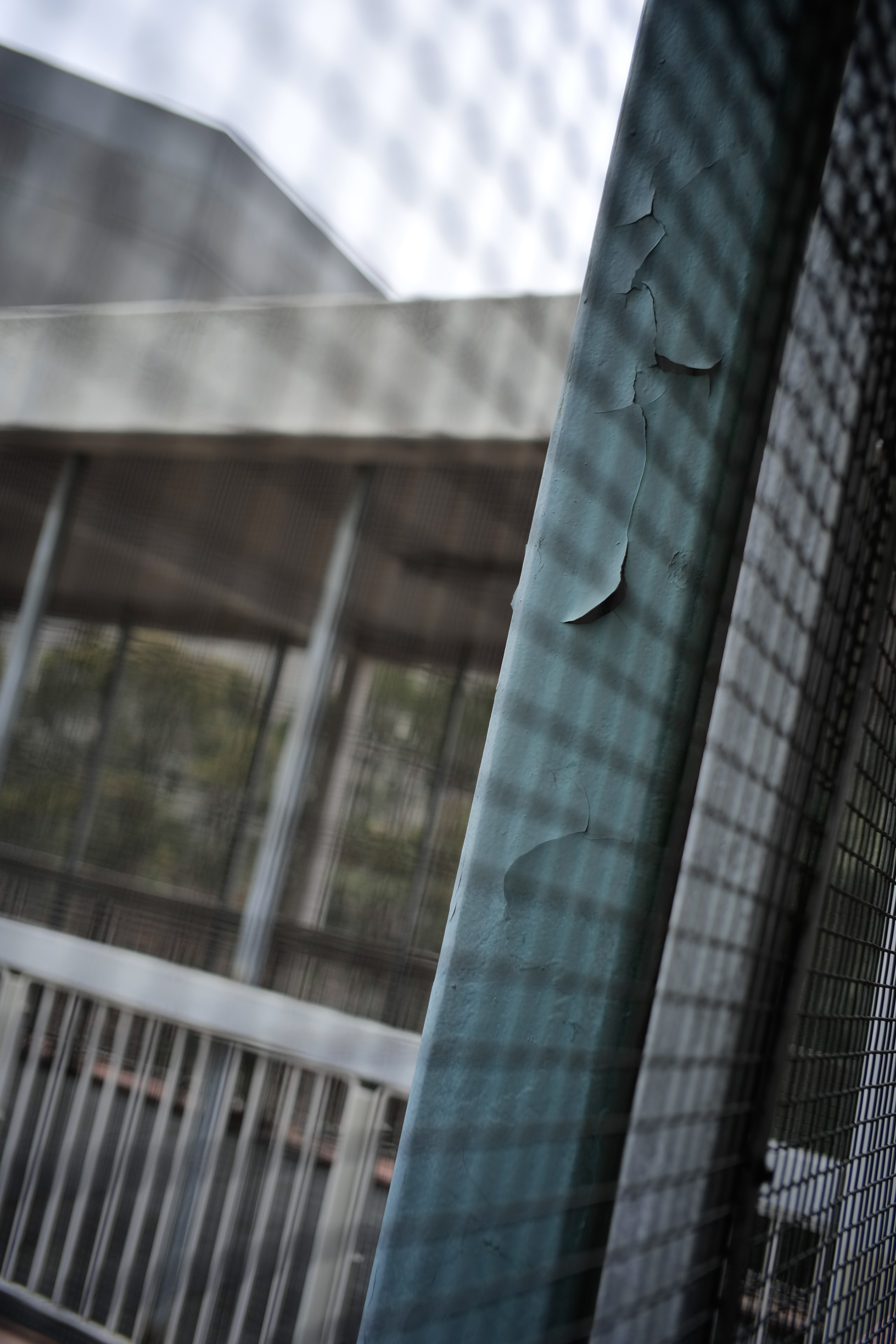 [Panasonic LUMIX DC-S5, LEICA Summicron-M 35mm f/2 ASPH]