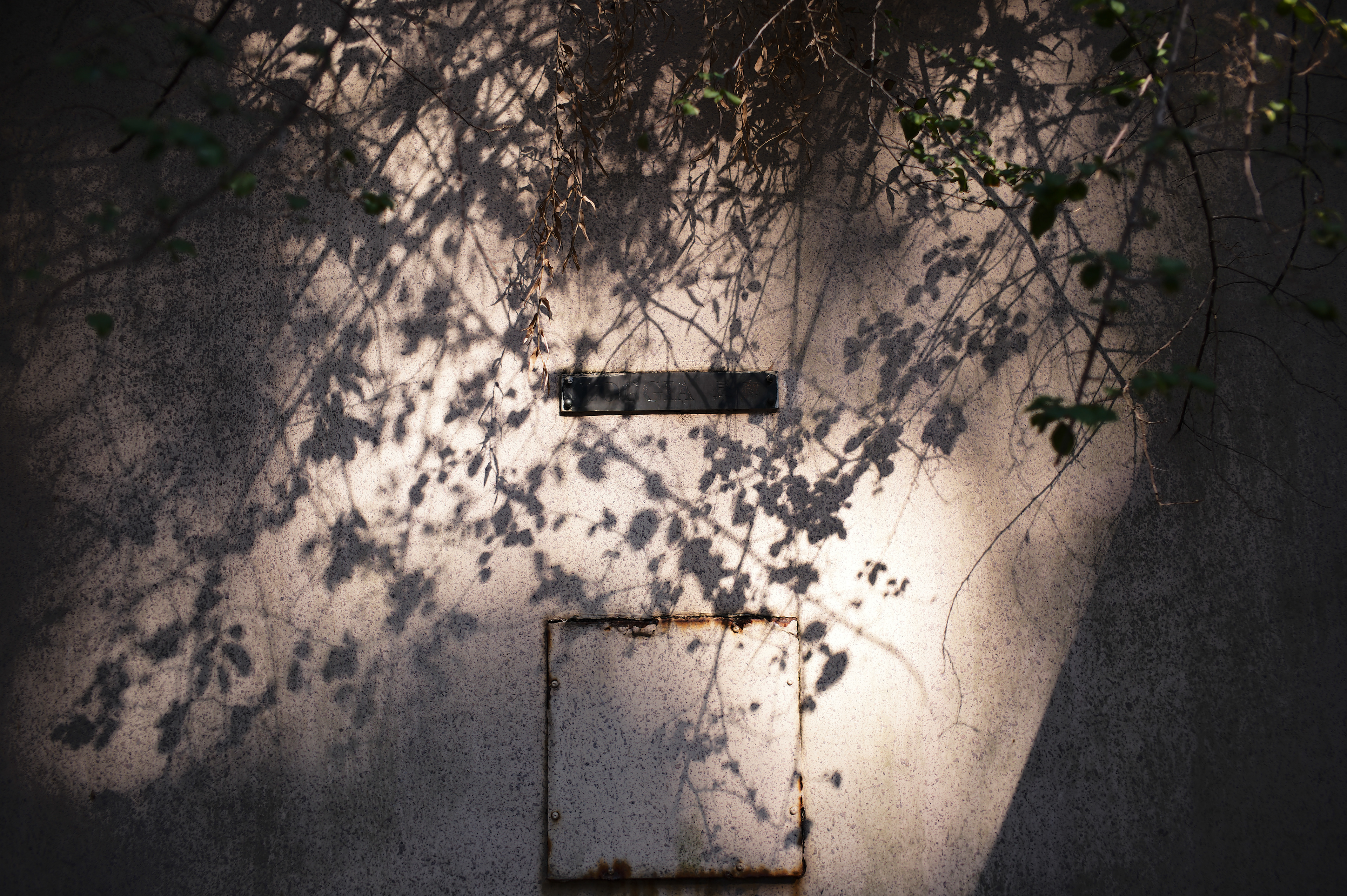 [LEICA M11, LEICA Summicron-M 35mm f/2 ASPH]