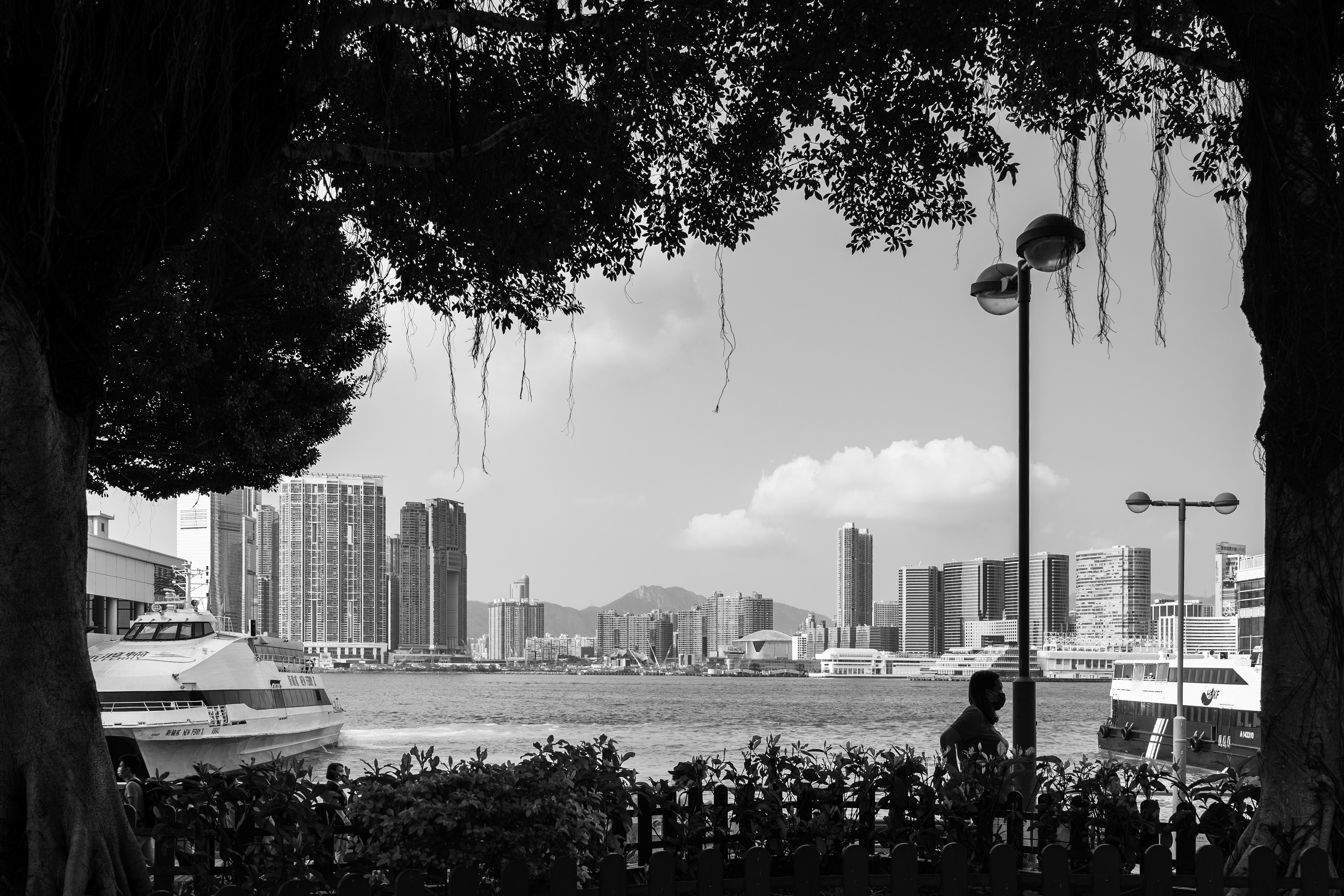 Went to Central Pier after having afternoon tea at Four Seasons Hotel [Panasonic LUMIX DC-S5, Sigma 35mm F/2 DG DN | Contemporary 020]