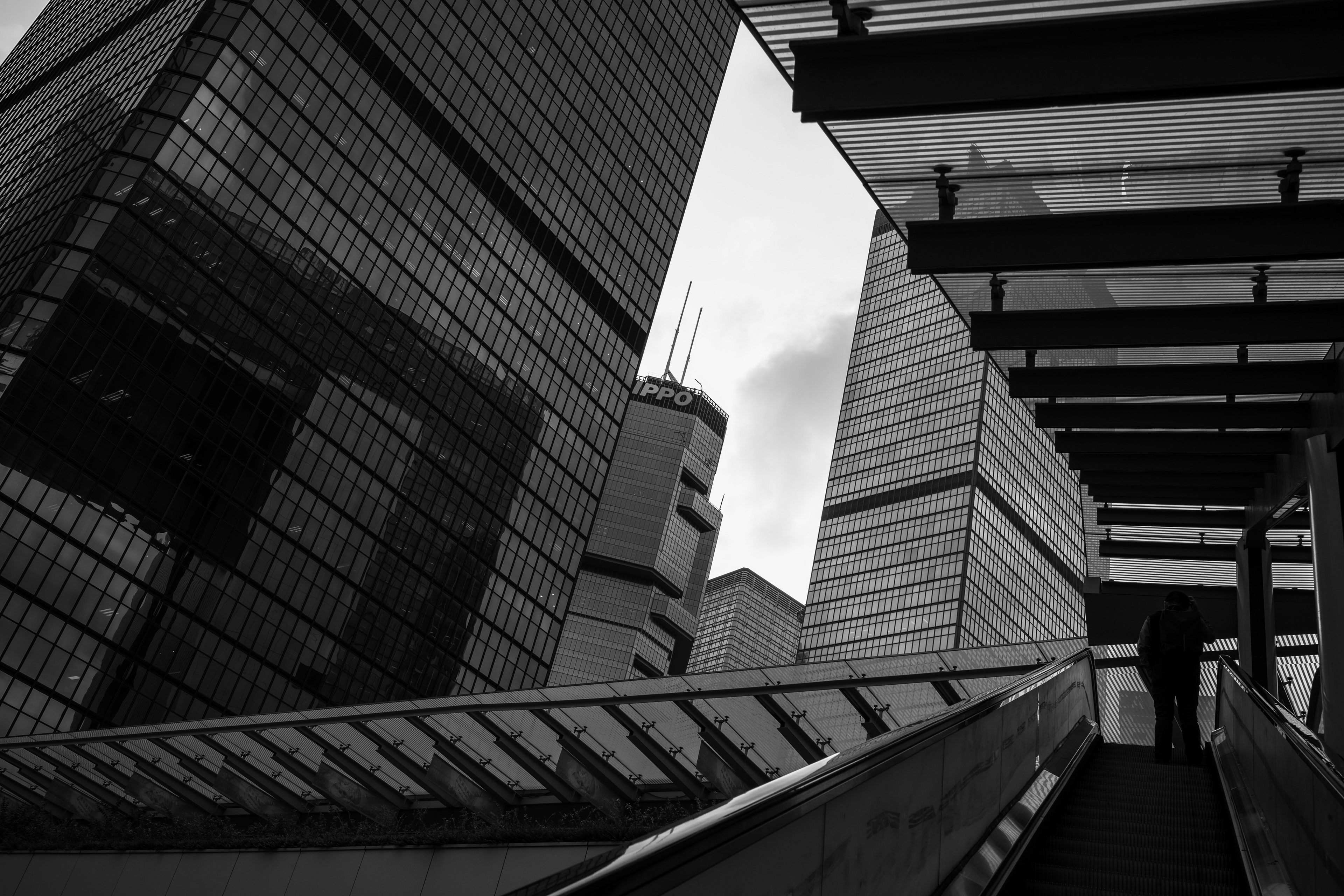 The cease of justice [LEICA M10, LEICA Summicron-M 35mm f/2 ASPH]