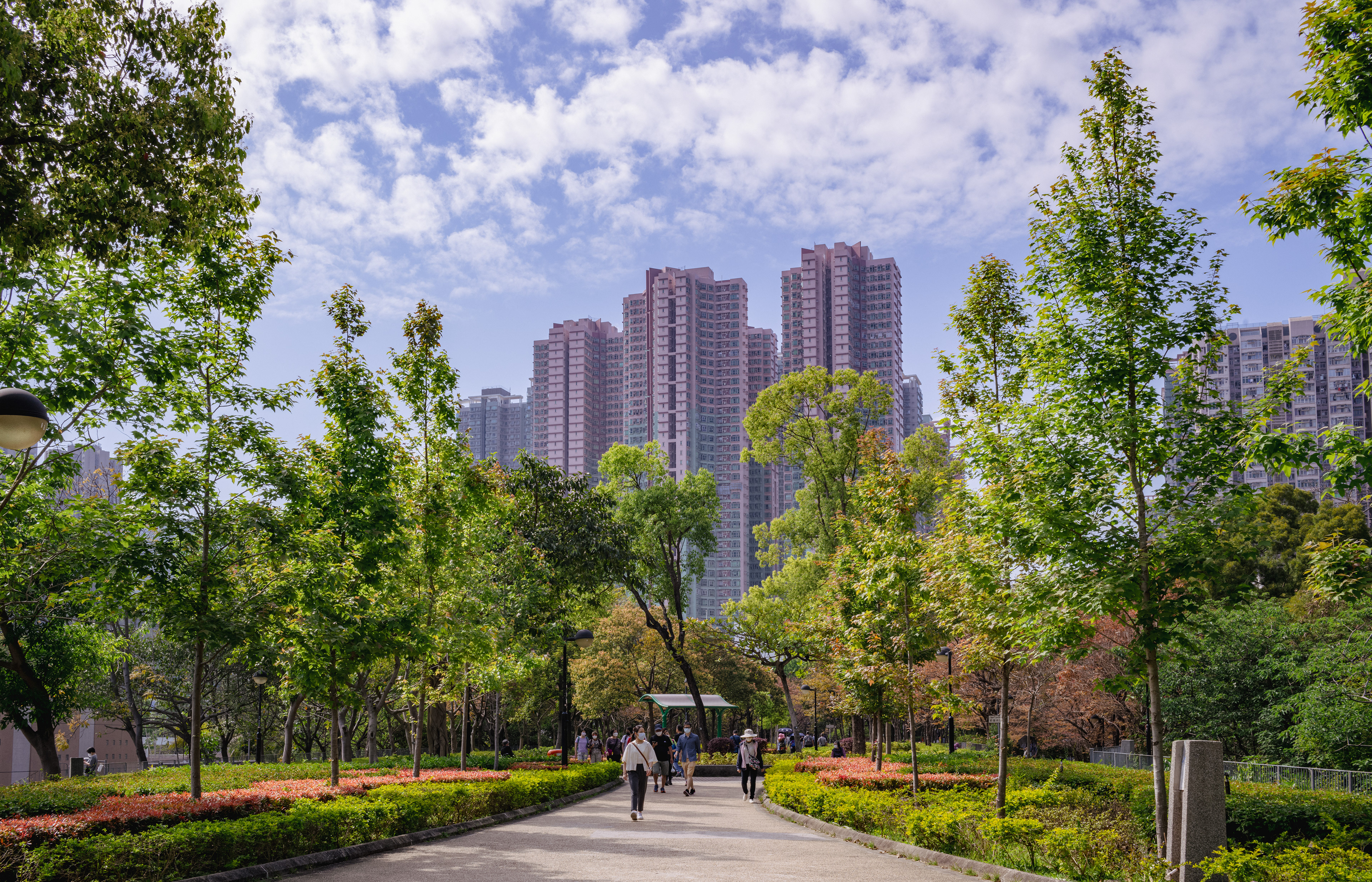 [LEICA M11, LEICA Summicron-M 35mm f/2 ASPH]