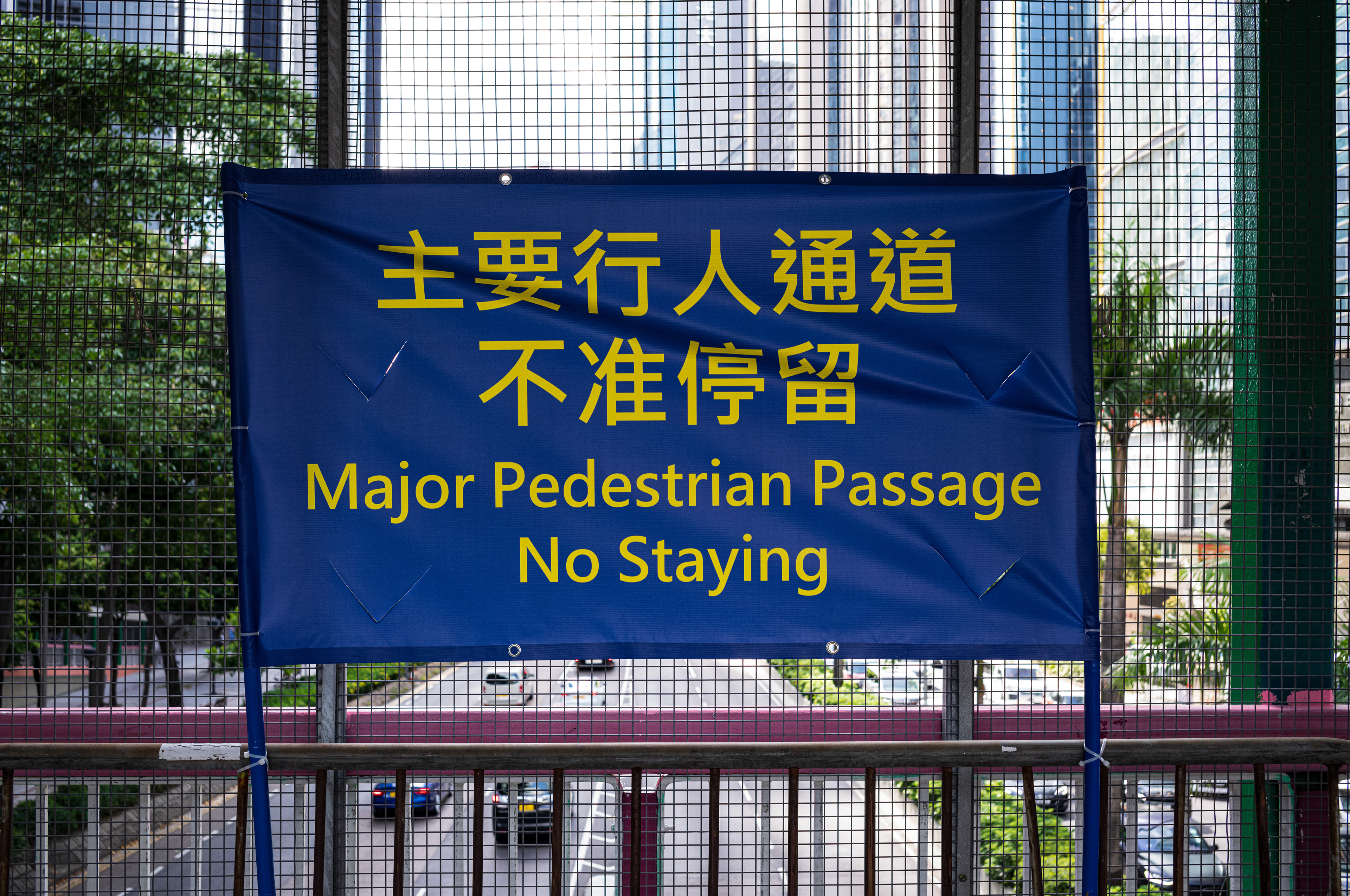 This is how we celebrate the 25th anniversary of the establishment of the Hong Kong Special Administrative Region (HKSAR), we can't stop on the bridge. [LEICA M11, LEICA Summicron-M 35mm f/2 ASPH]