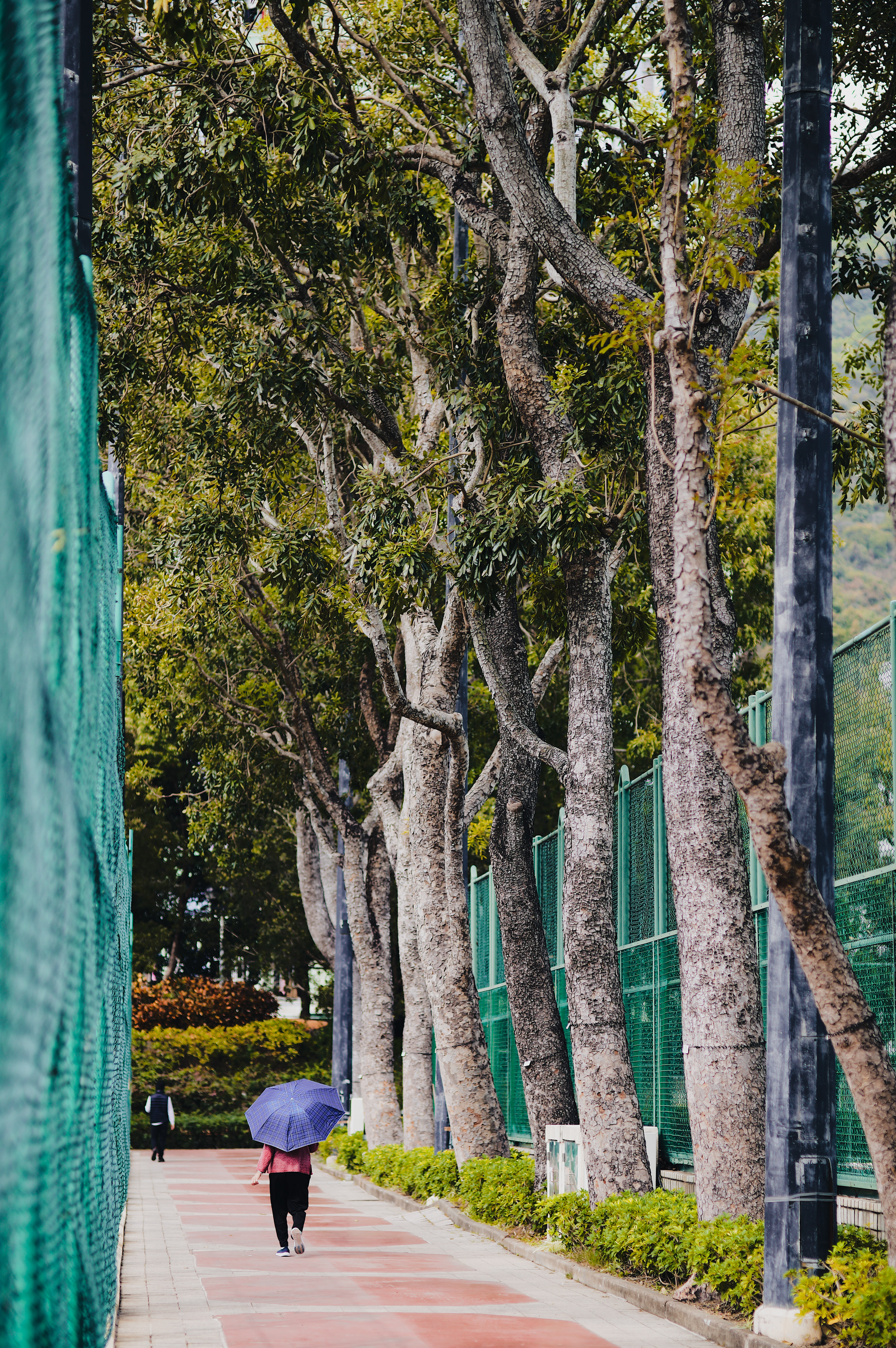 I decided to go for a walk in the park after lunch because I lack exercise these days. [LEICA M11, Voigtlander Nokton 75mm f/1.5 Aspherical]