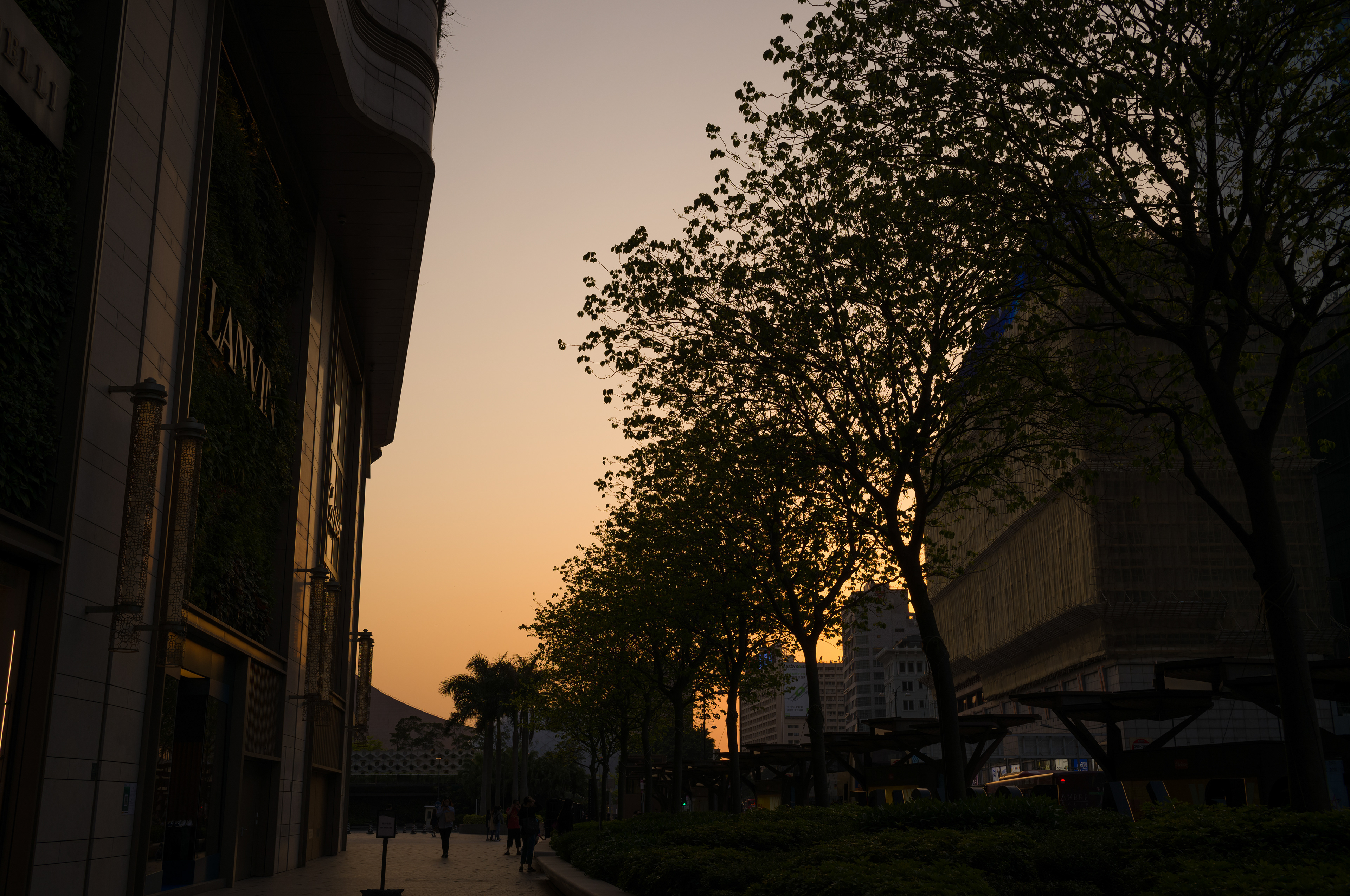 [LEICA M11, LEICA Summicron-M 35mm f/2 ASPH]