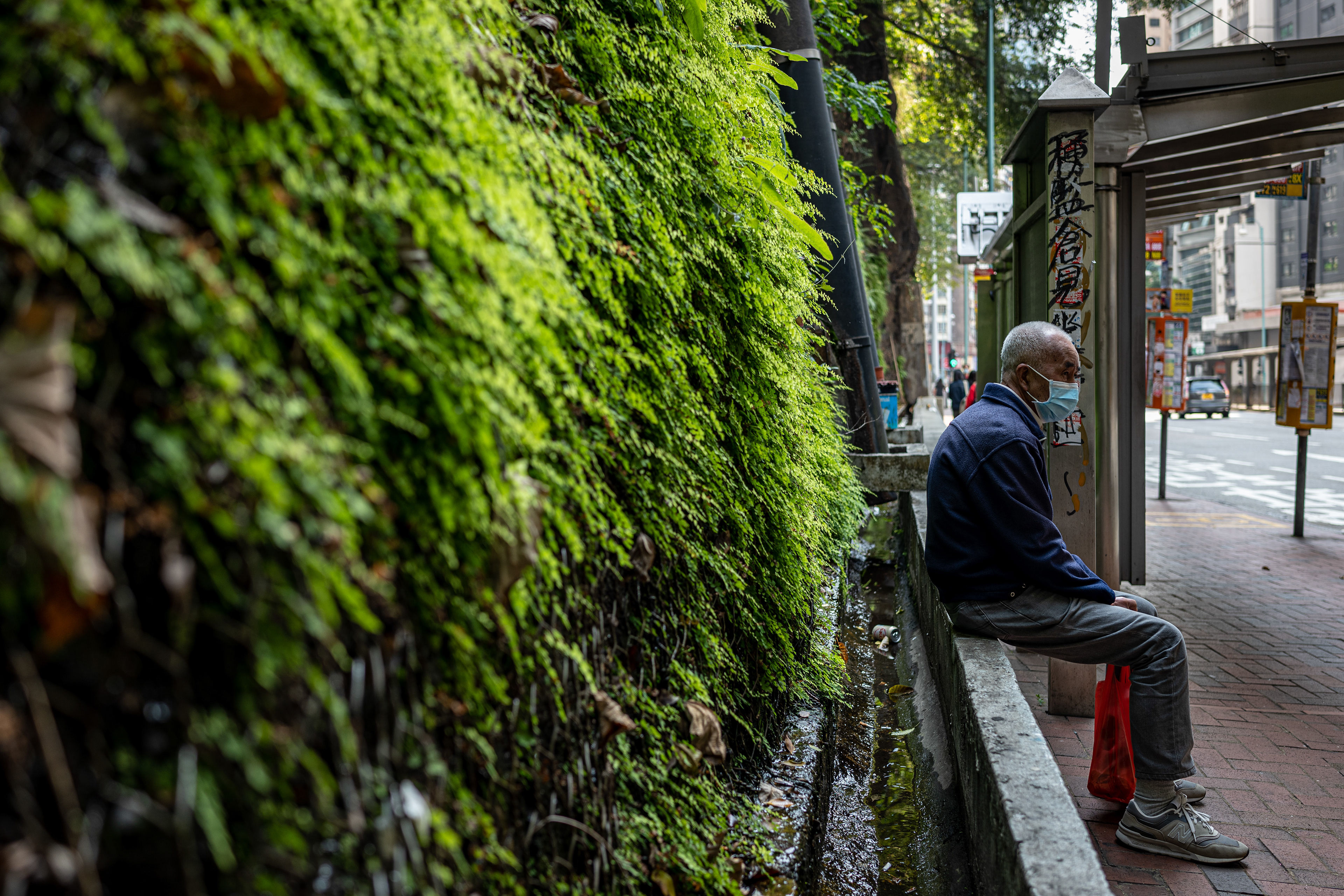 Hillside grass [Panasonic LUMIX DC-S5, Sigma 35mm F/2 DG DN | Contemporary 020]