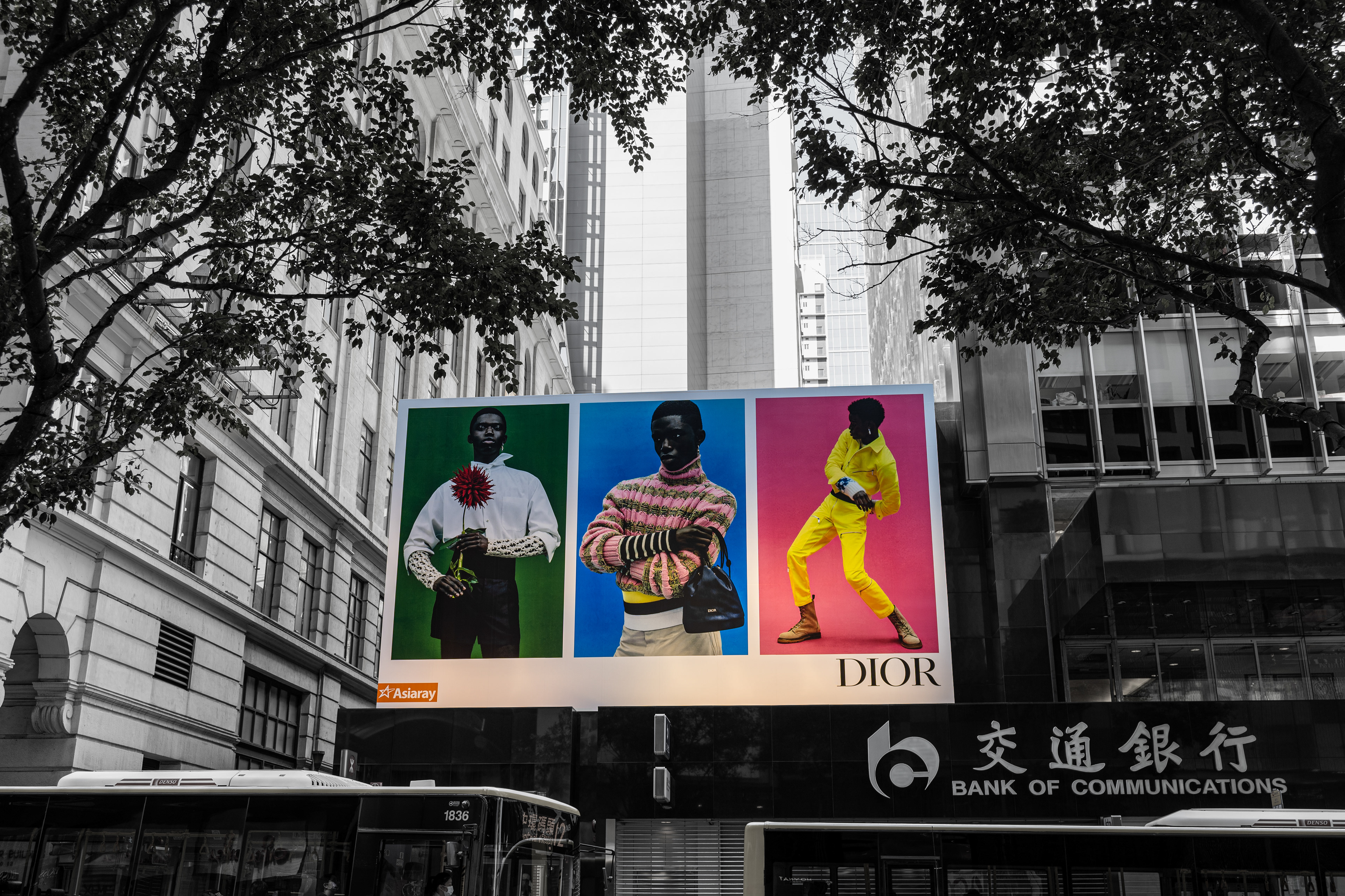 DIOR [Panasonic LUMIX DC-S5, Panasonic LUMIX S 20-60/F3.5-5.6]