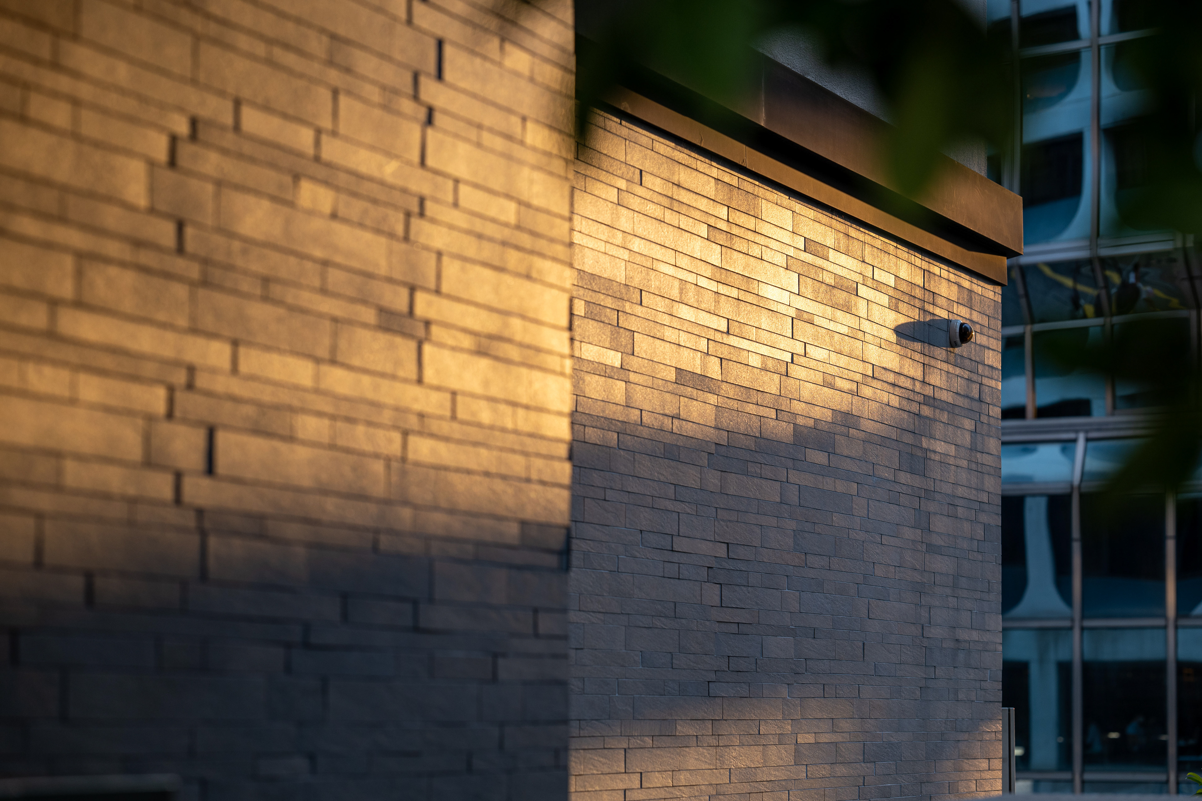 [Panasonic LUMIX DC-S5, Sigma 85mm F1.4 DG DN | Art 020]