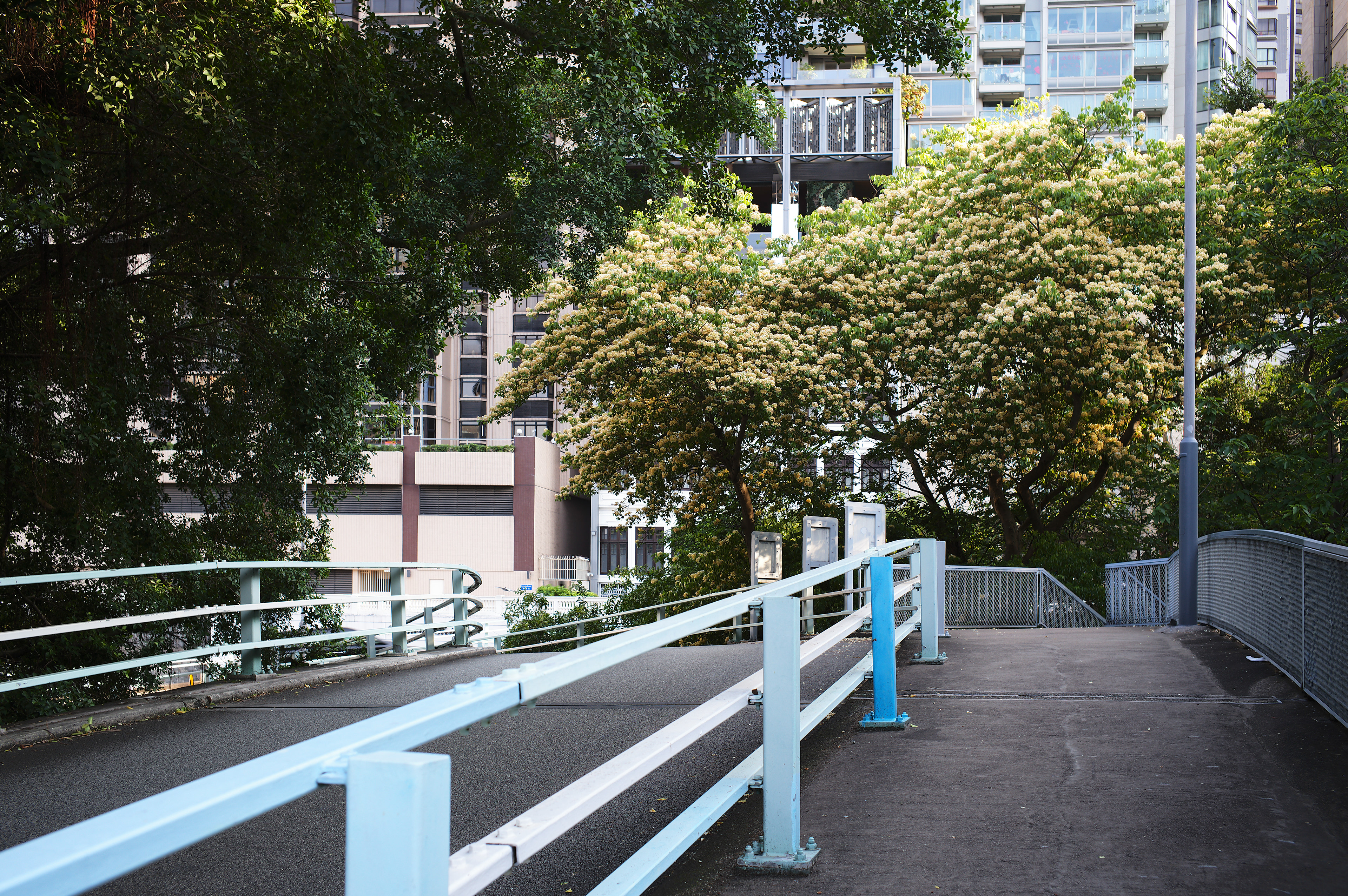 [LEICA M11, LEICA Summicron-M 35mm f/2 ASPH]