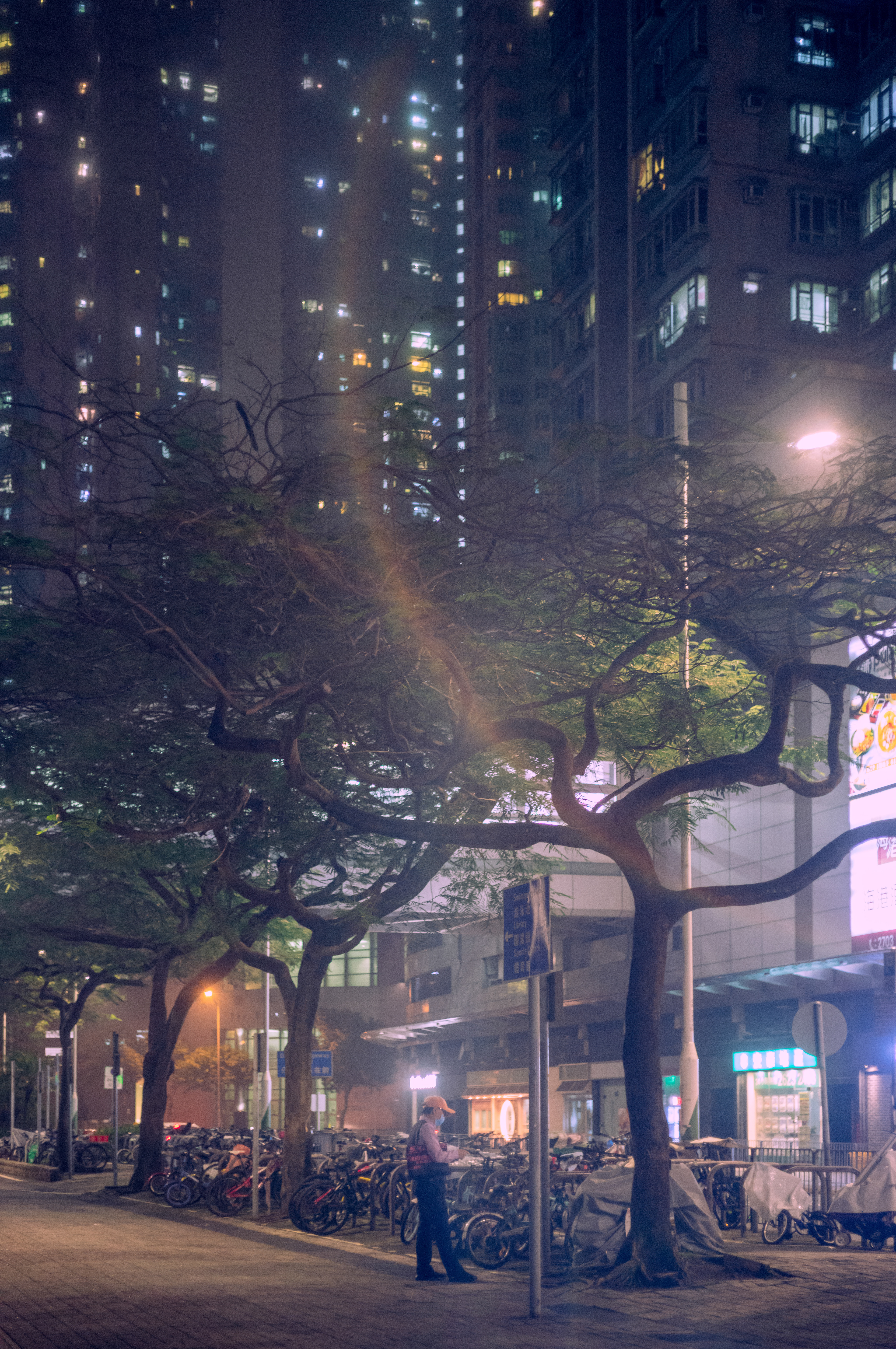 What's going on with the weather recently? Looks like it's spring in Hong Kong. [LEICA M11, LEICA SUMMICRON 50mm f/2 Rigid]