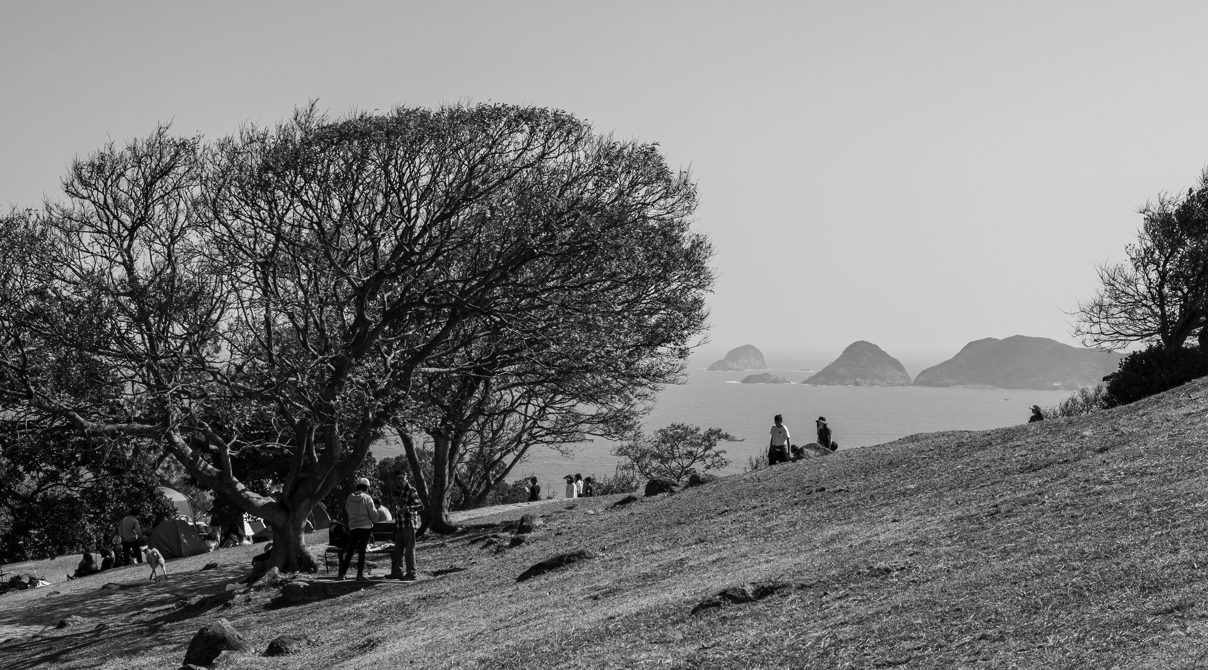 [Panasonic LUMIX DC-S5, Sigma 24-70mm F2.8 DG DN | Art 019]