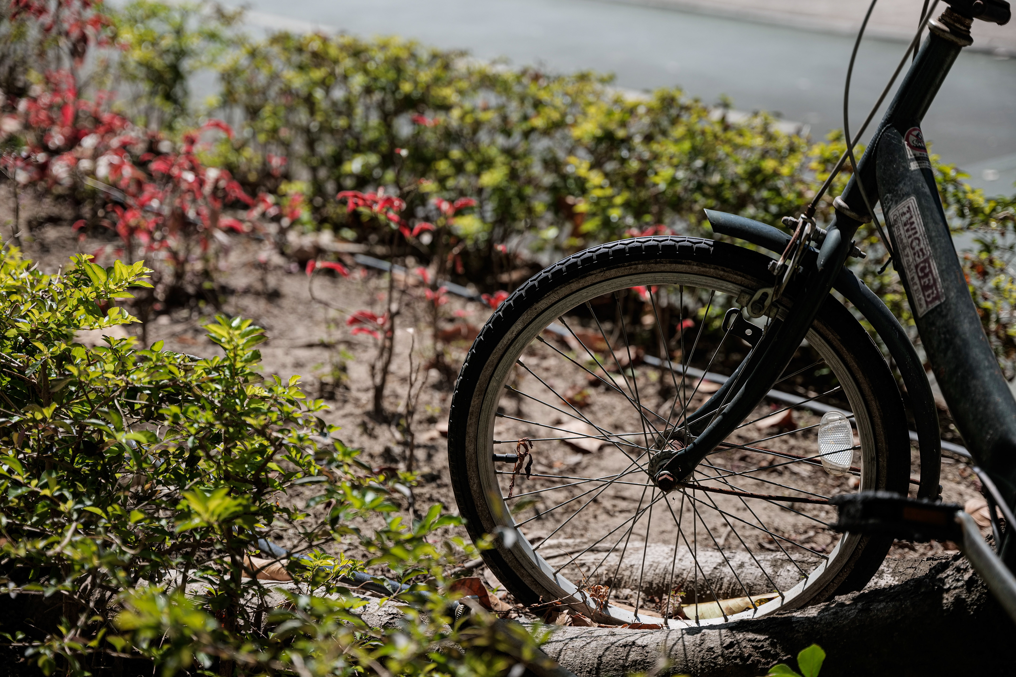 Panasonic LUMIX DC-S5, Sigma 24-70mm F2.8 DG DN | Art 019