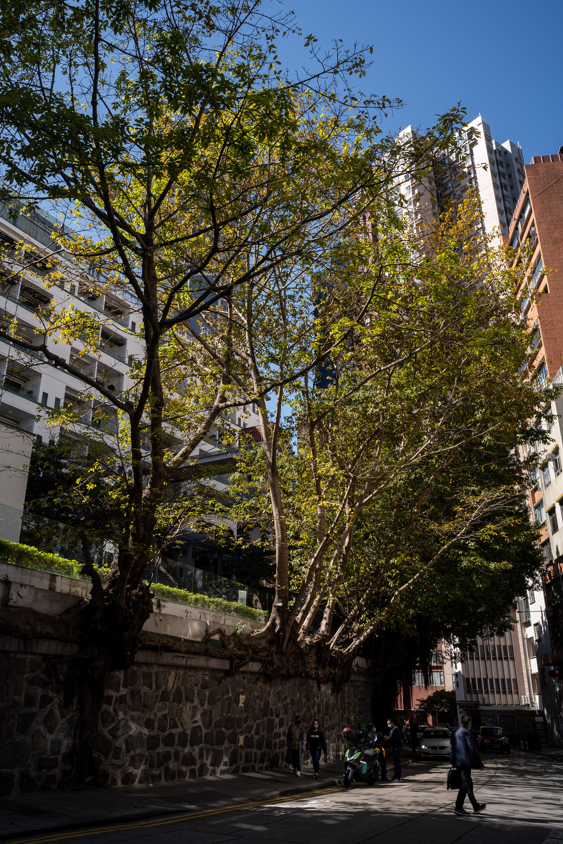 [Panasonic LUMIX DC-S5, LEICA Elmarit-M 24mm f/2.8 ASPH]