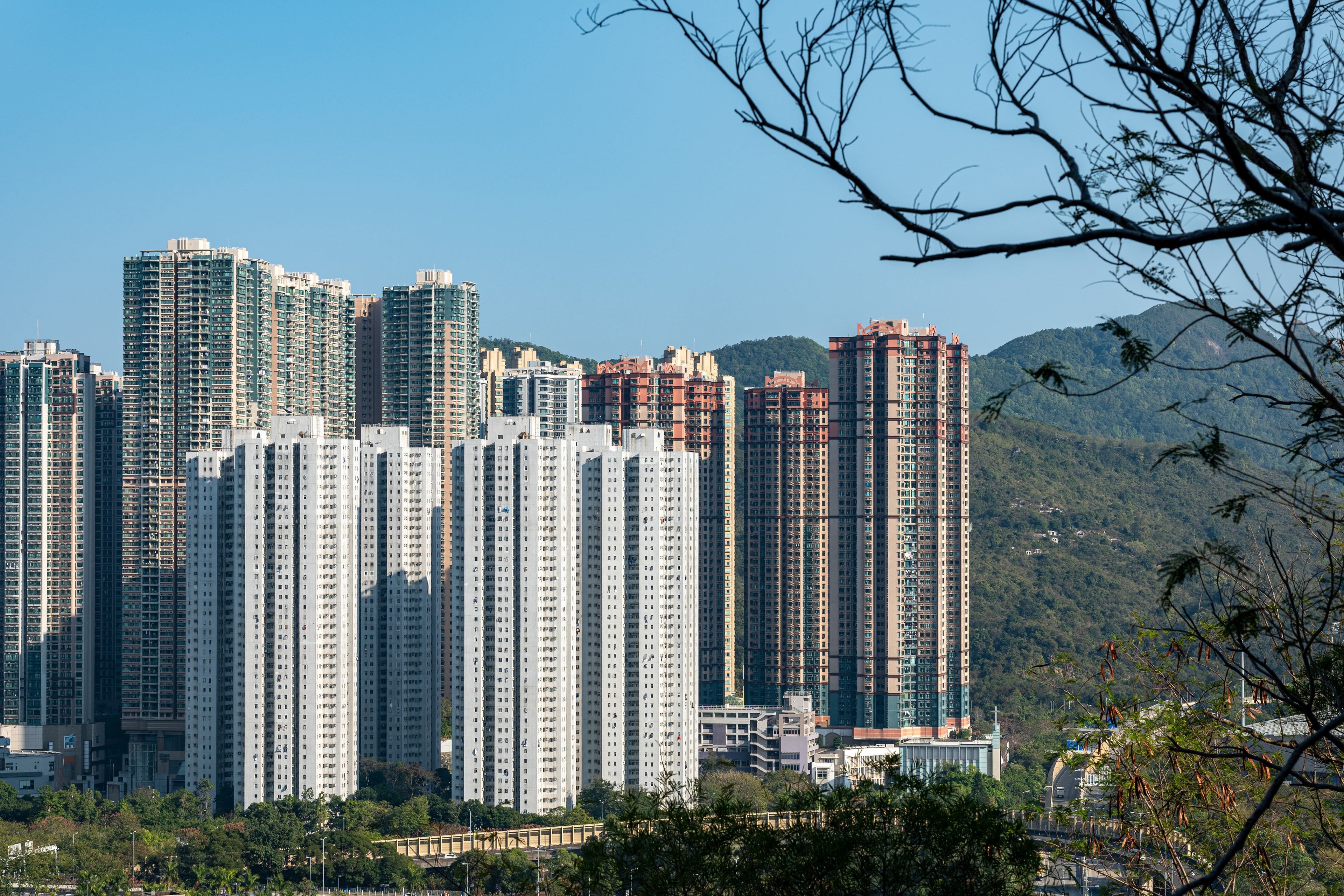 A walk to the hill [Panasonic LUMIX DC-S5, Sigma 85mm F1.4 DG DN | Art 020]