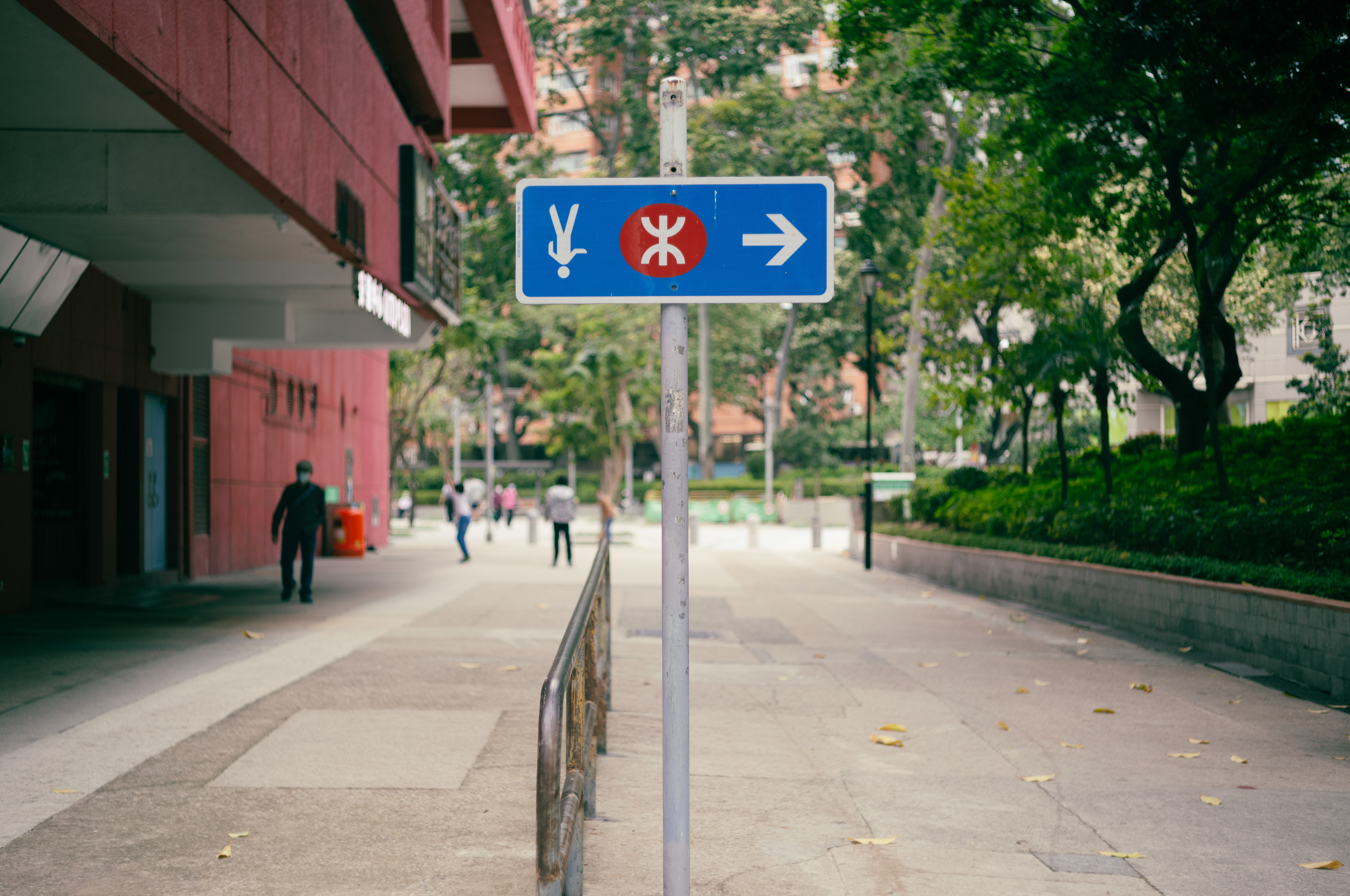 [LEICA M11, LEICA SUMMICRON 50mm f/2 Rigid]