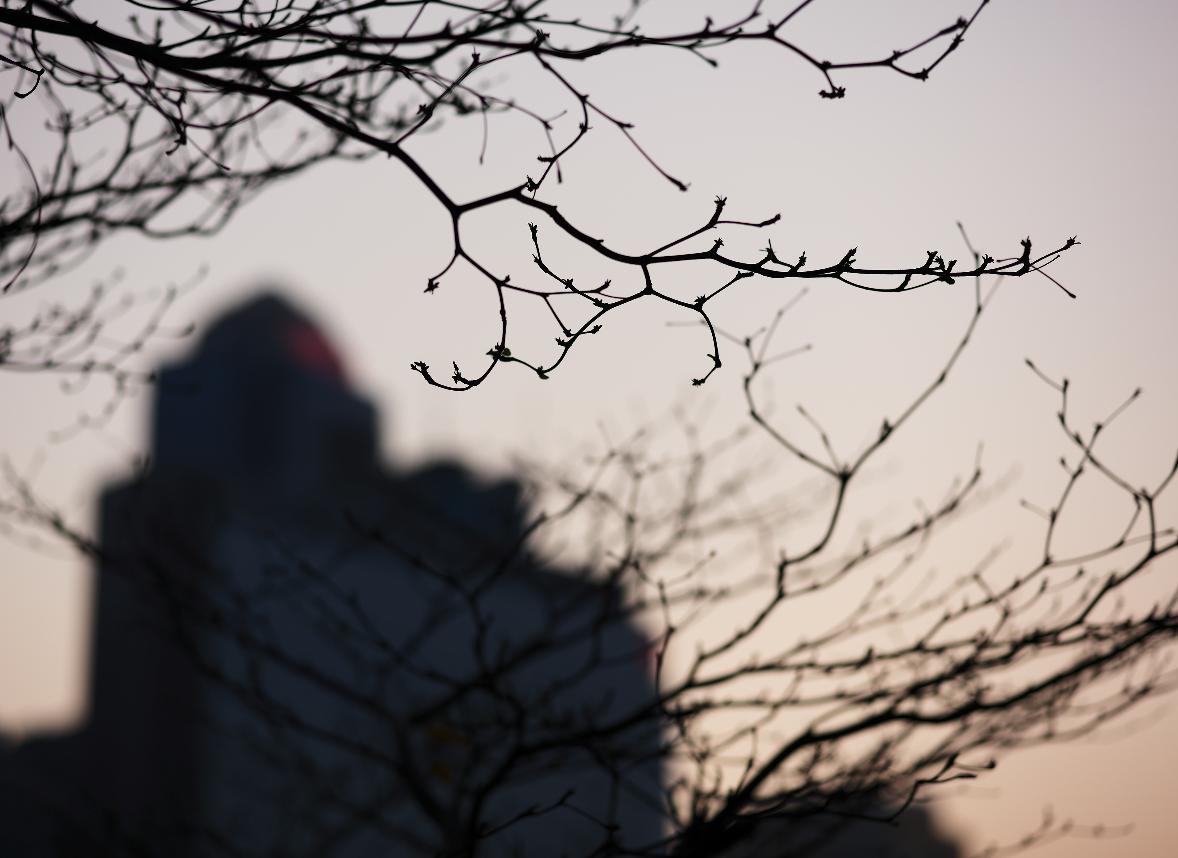 [LEICA M11, Voigtlander Nokton 75mm f/1.5 Aspherical]