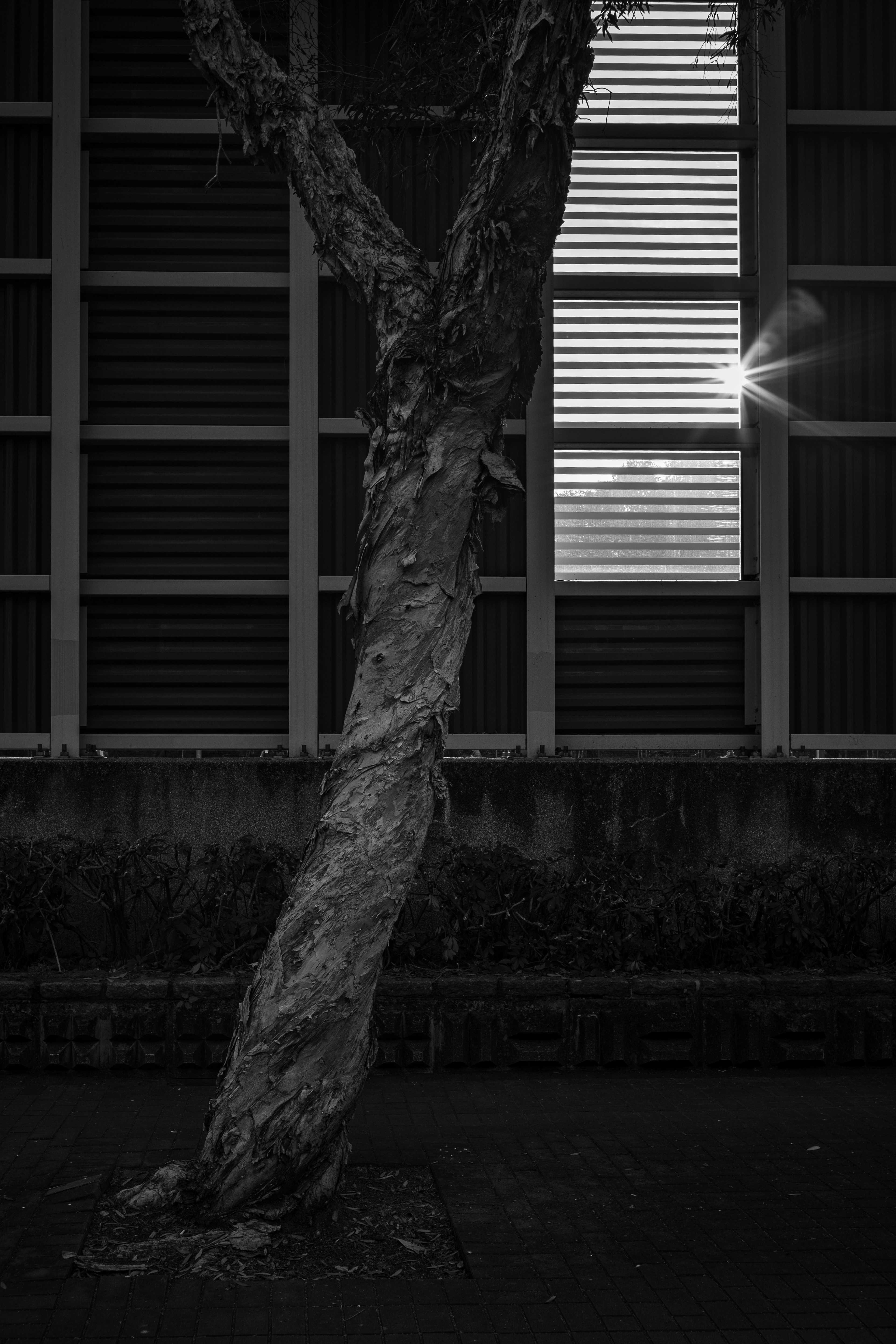 [Panasonic LUMIX DC-S5, LEICA Summicron-M 35mm f/2 ASPH]