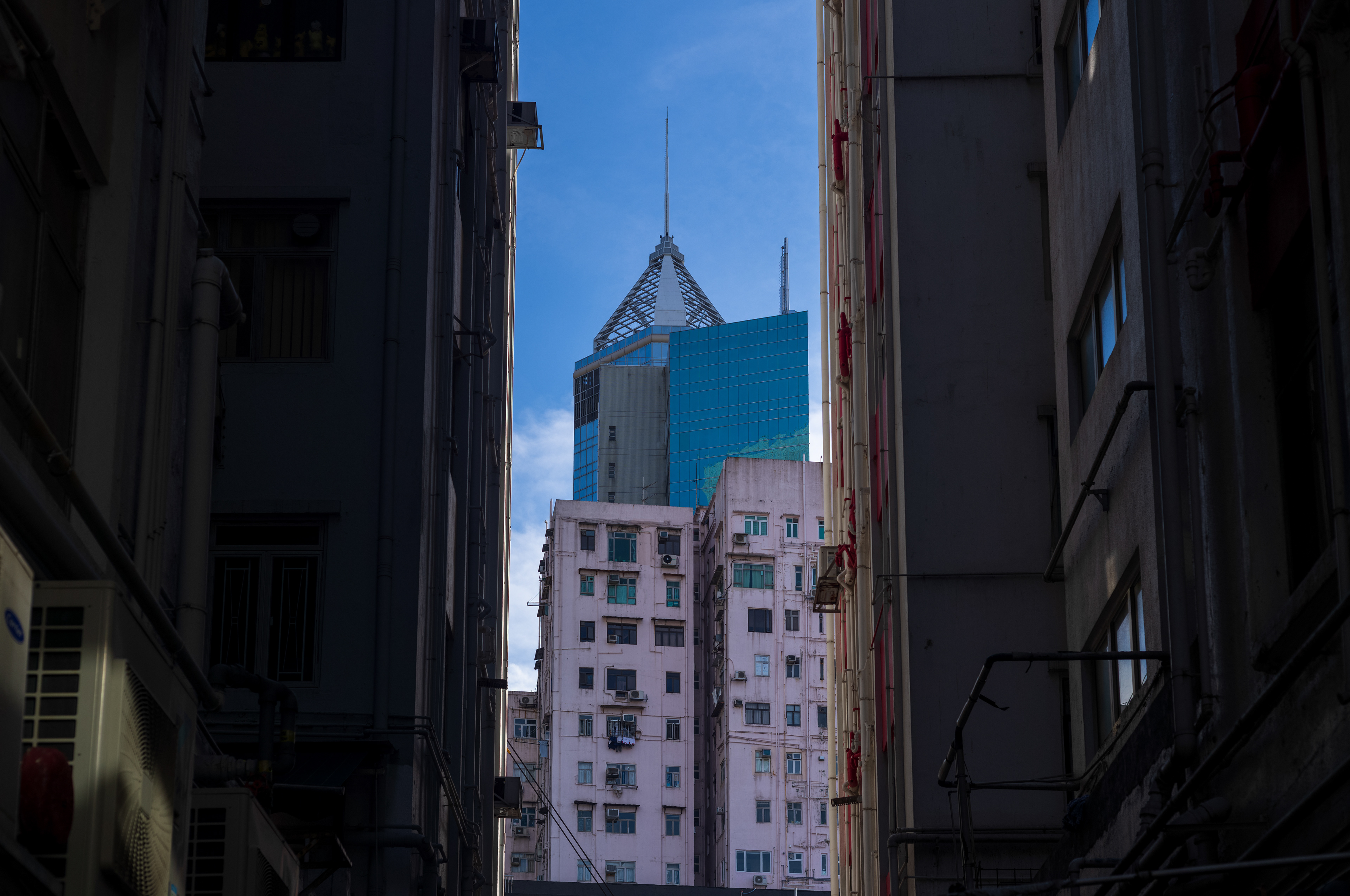 [LEICA M11, LEICA SUMMICRON 50mm f/2 Rigid]