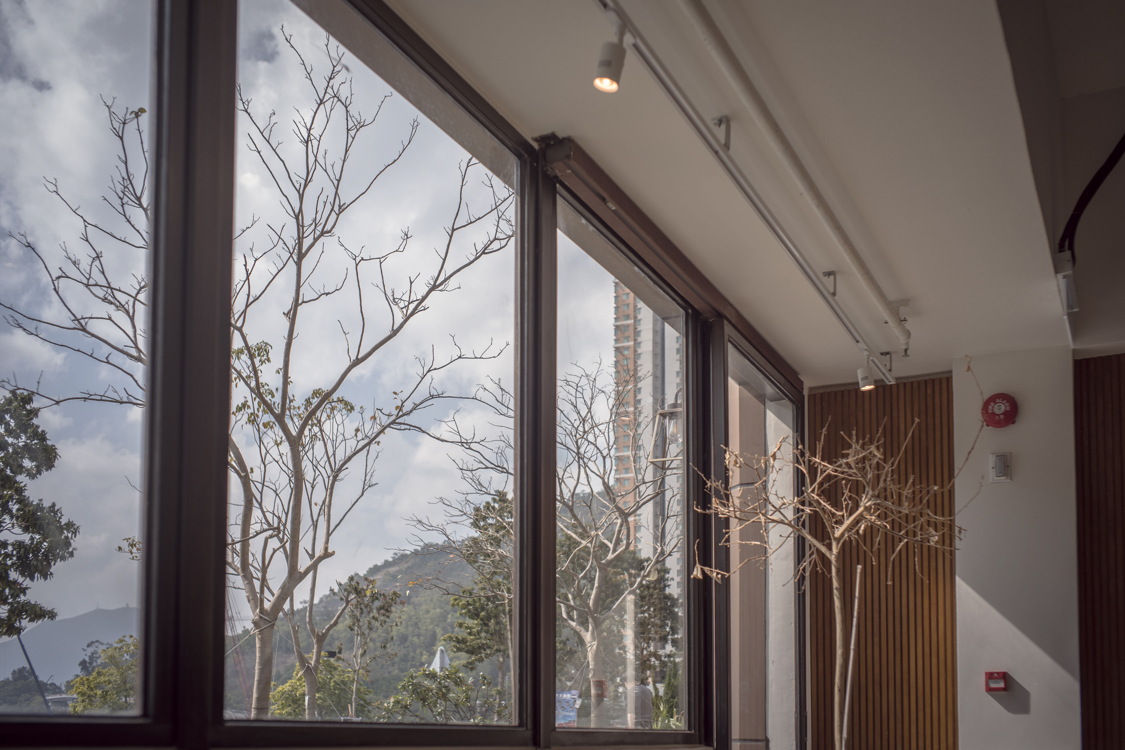 Trying to pretend that I'm not in Hong Kong during the pandemic. [Panasonic LUMIX DC-S5, LEICA Summicron-M 35mm f/2 ASPH]