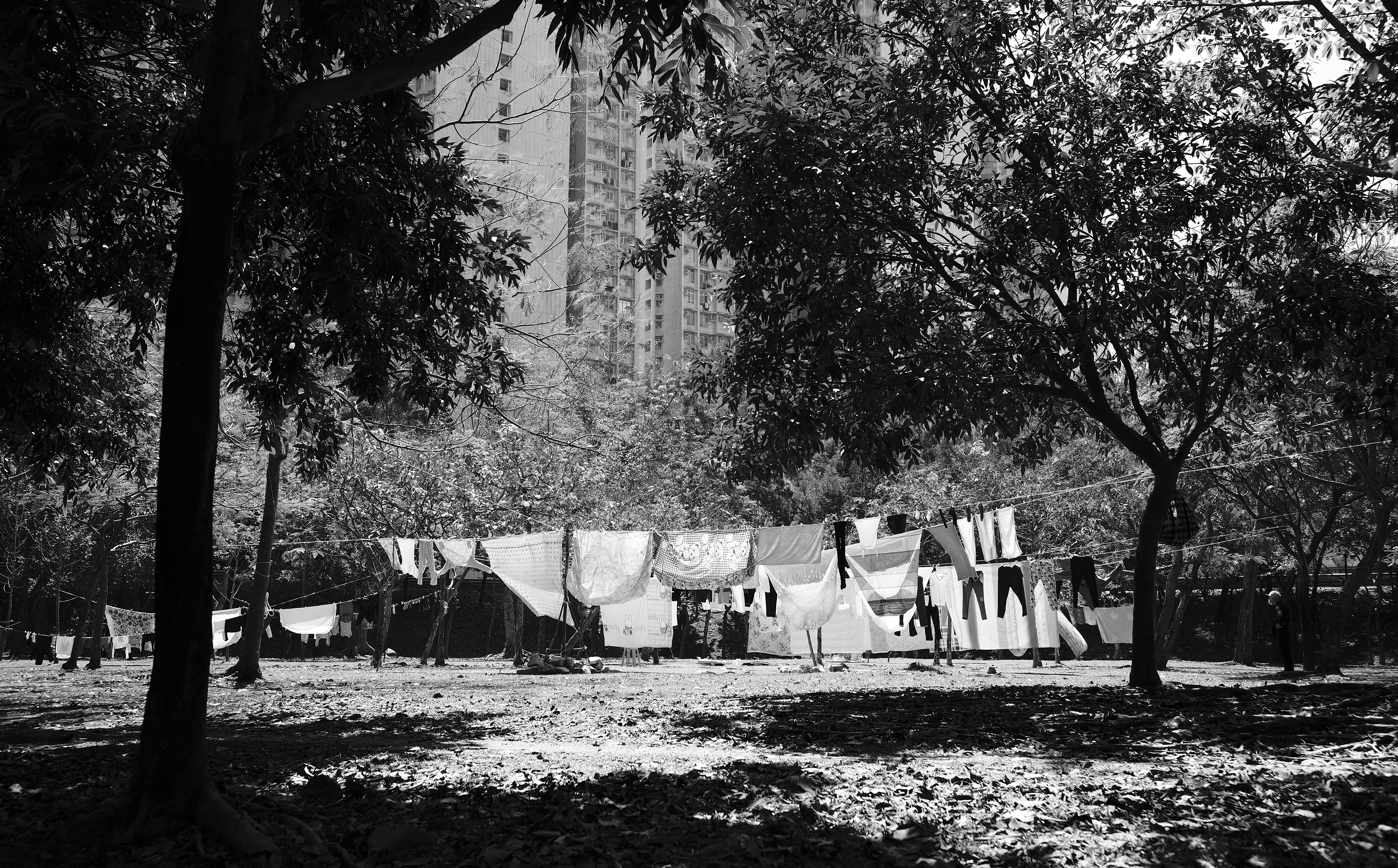 The sun finally came out [LEICA M11, LEICA Summicron-M 35mm f/2 ASPH]