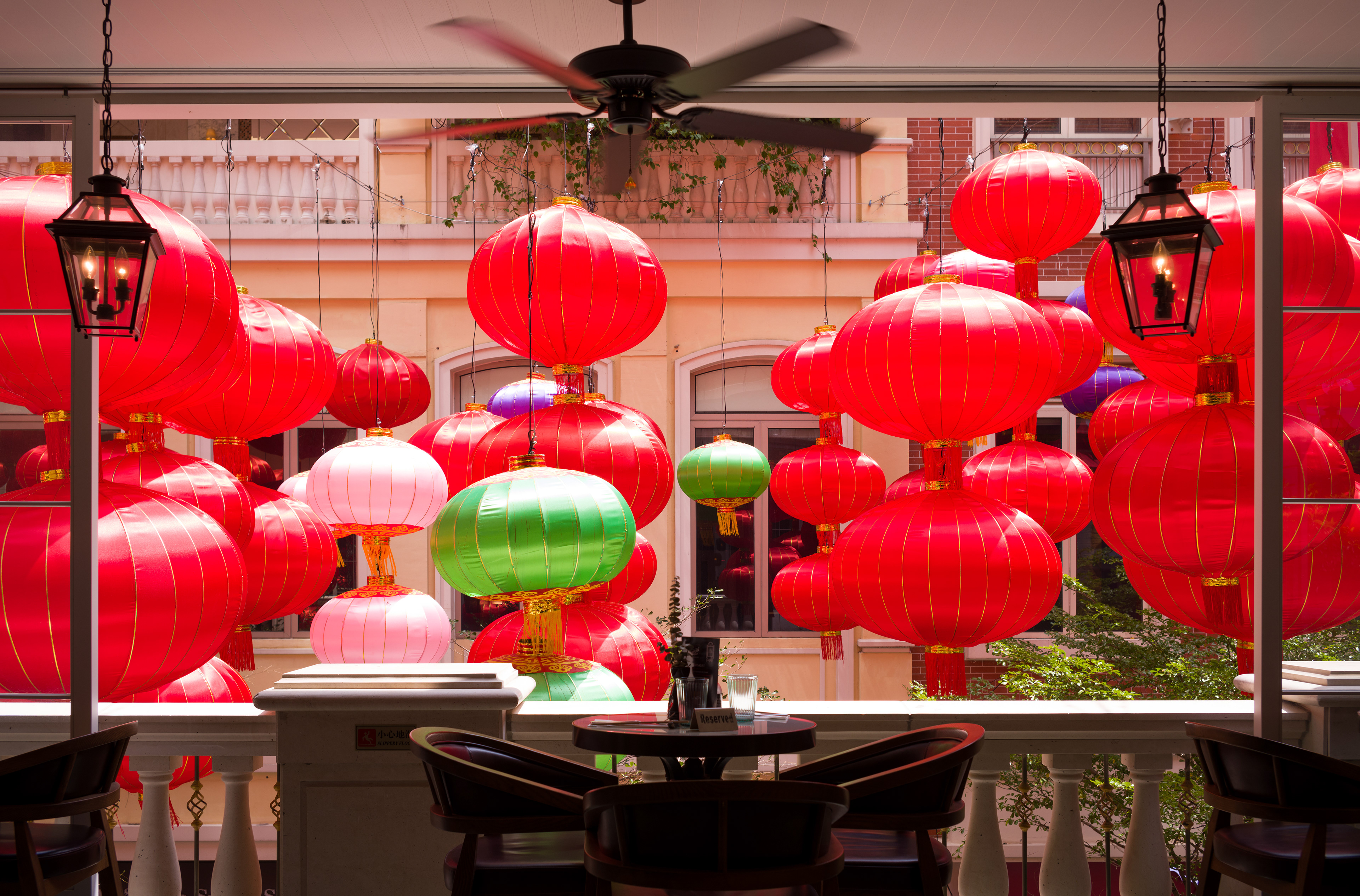 Trapped [LEICA M11, LEICA Summicron-M 35mm f/2 ASPH]